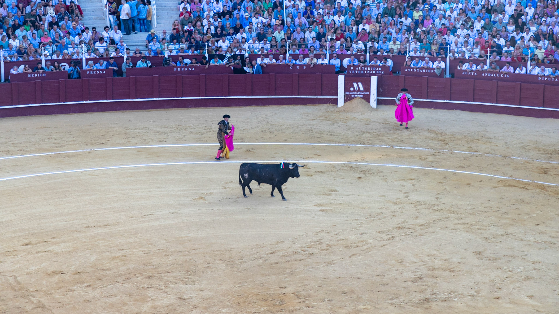 La Corrida de Málaga. Málaga, Spain. 2022.