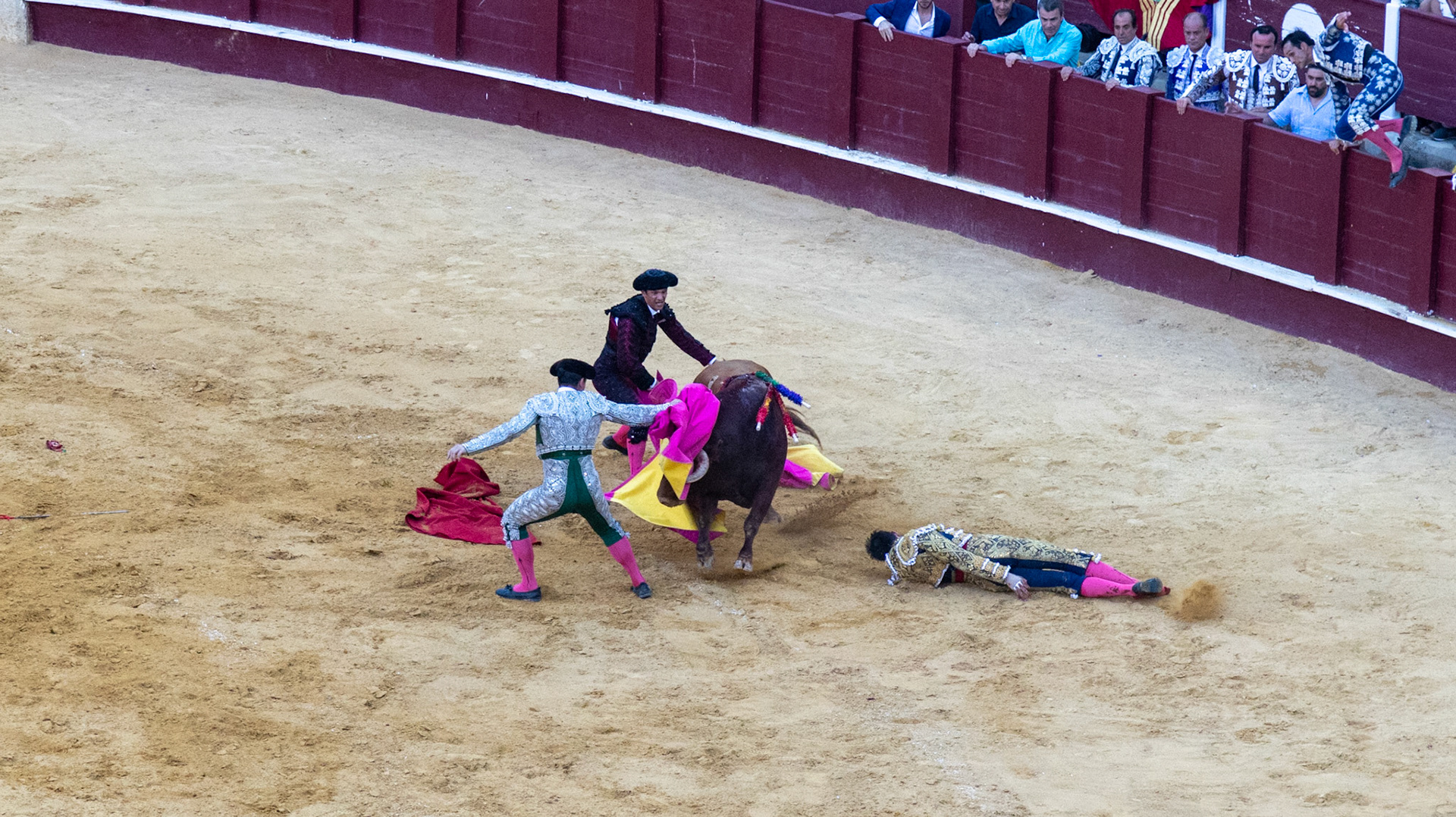 La Corrida de Málaga. Málaga, Spain. 2022.