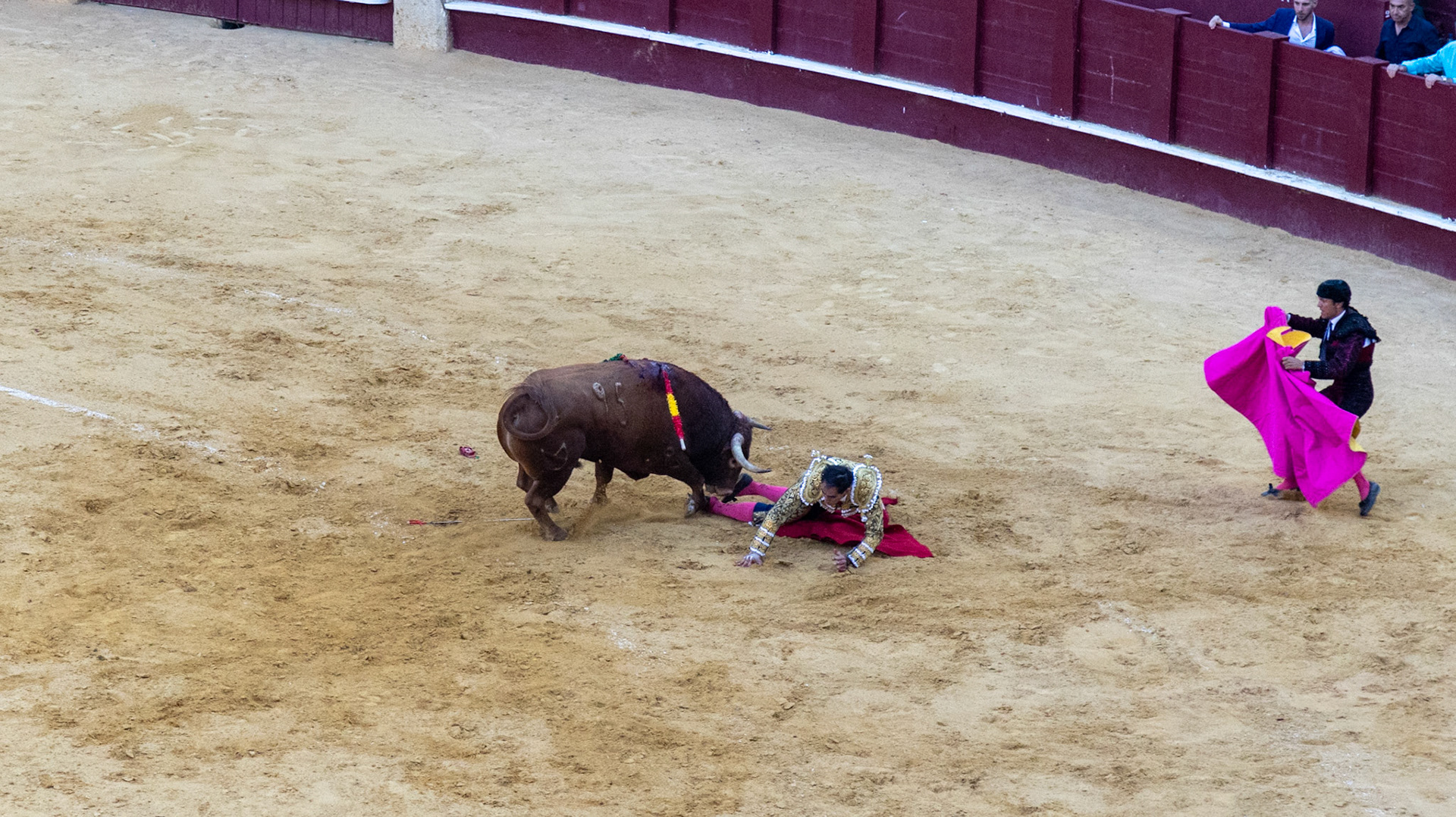 La Corrida de Málaga. Málaga, Spain. 2022.