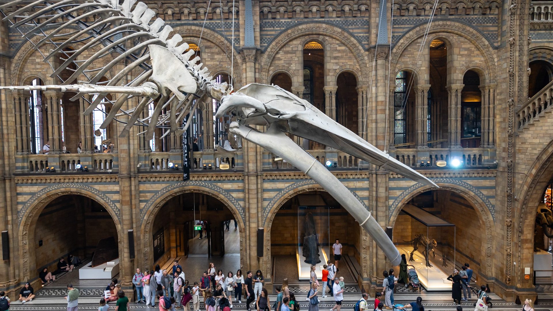 Natural History Museum. London, England. 2023.