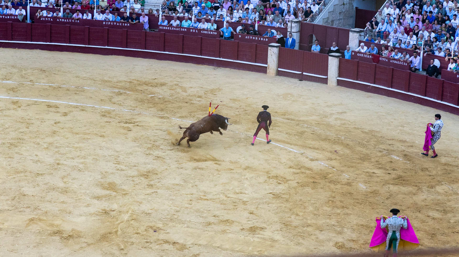 La Corrida de Málaga. Málaga, Spain. 2022.