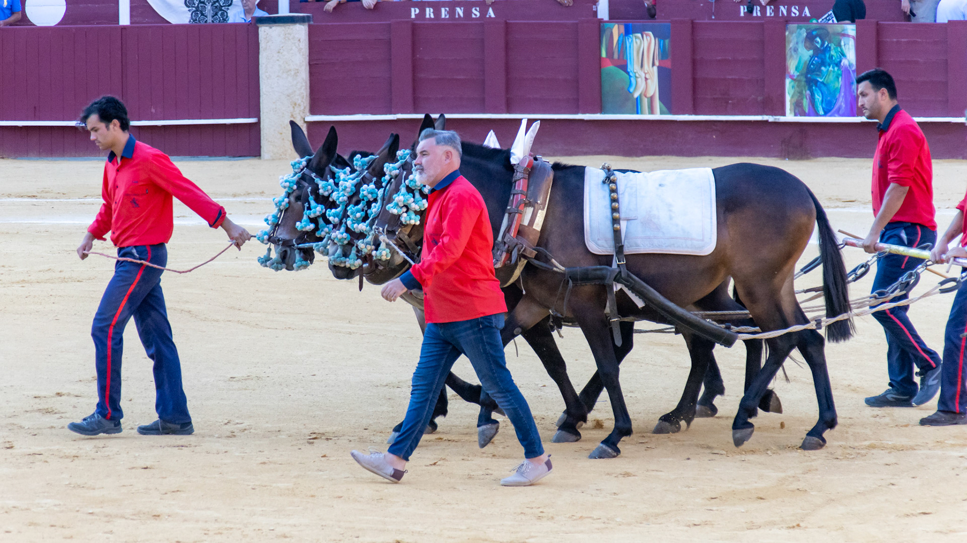 La Corrida Picassiana de Málaga. Málaga, Spain. 2022.