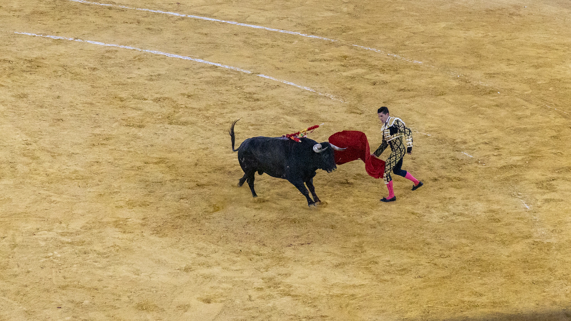 La Corrida de Málaga. Málaga, Spain. 2022.