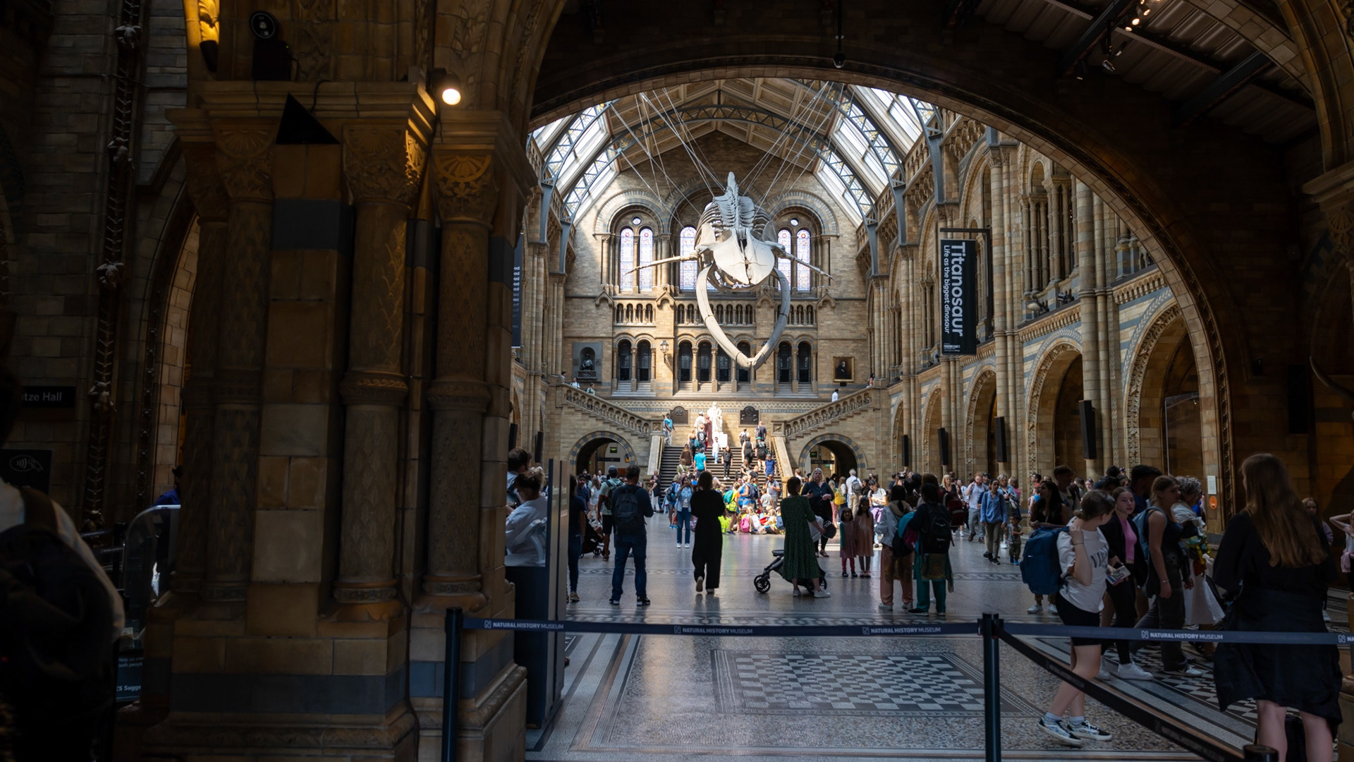 Natural History Museum. London, England. 2023.