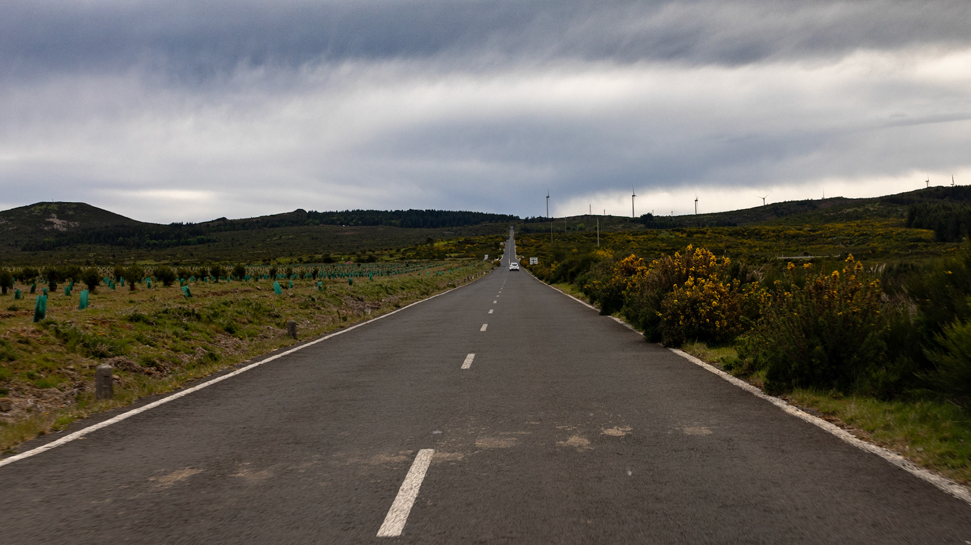 Paúl da Serra. Madeira, Portugal. 2024.