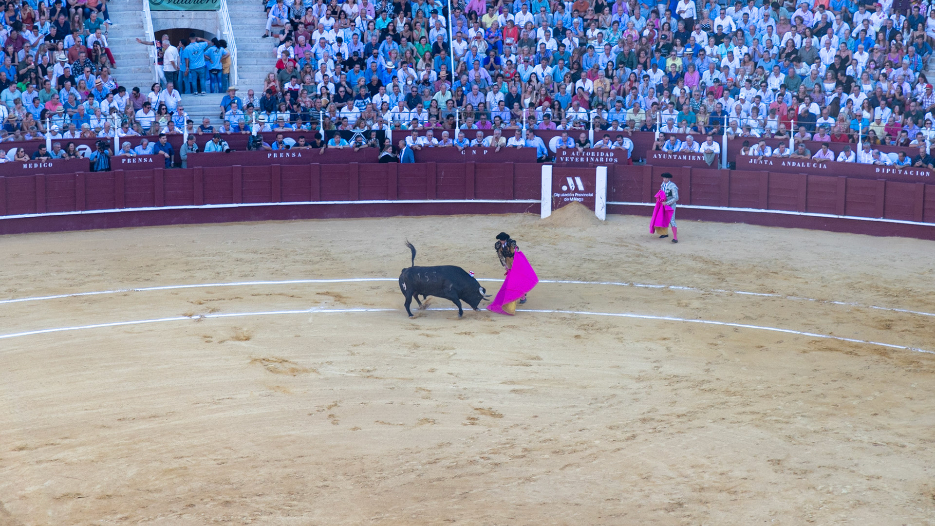 La Corrida de Málaga. Málaga, Spain. 2022.
