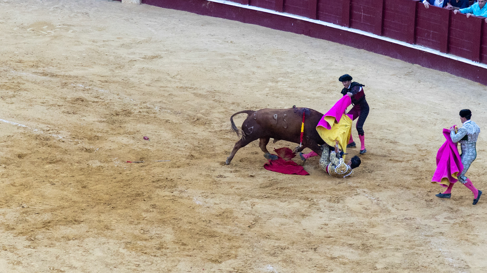 La Corrida de Málaga. Málaga, Spain. 2022.