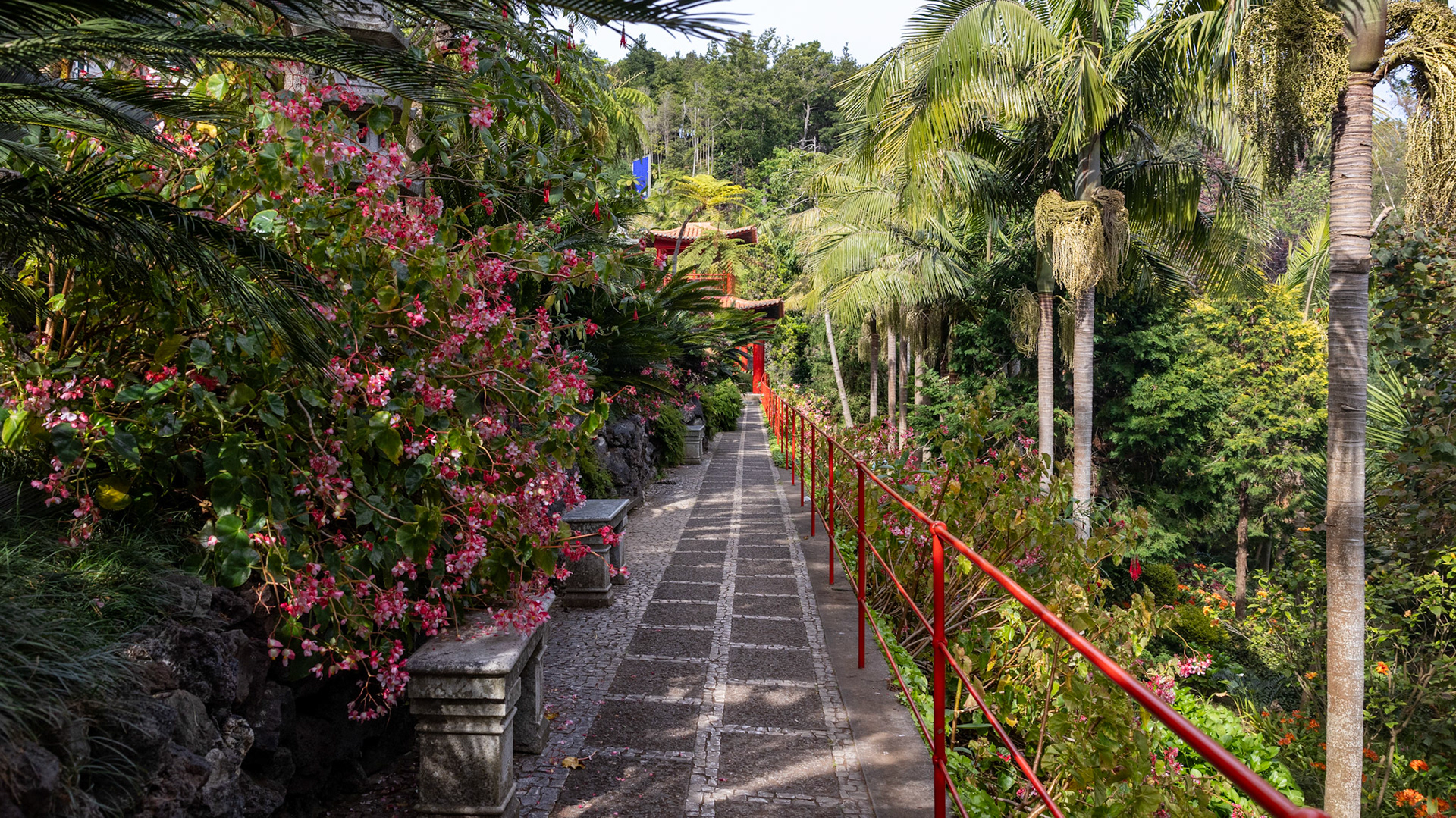 Jardim Monte Palace Madeira. Funchal, Madeira, Portugal. 2024.