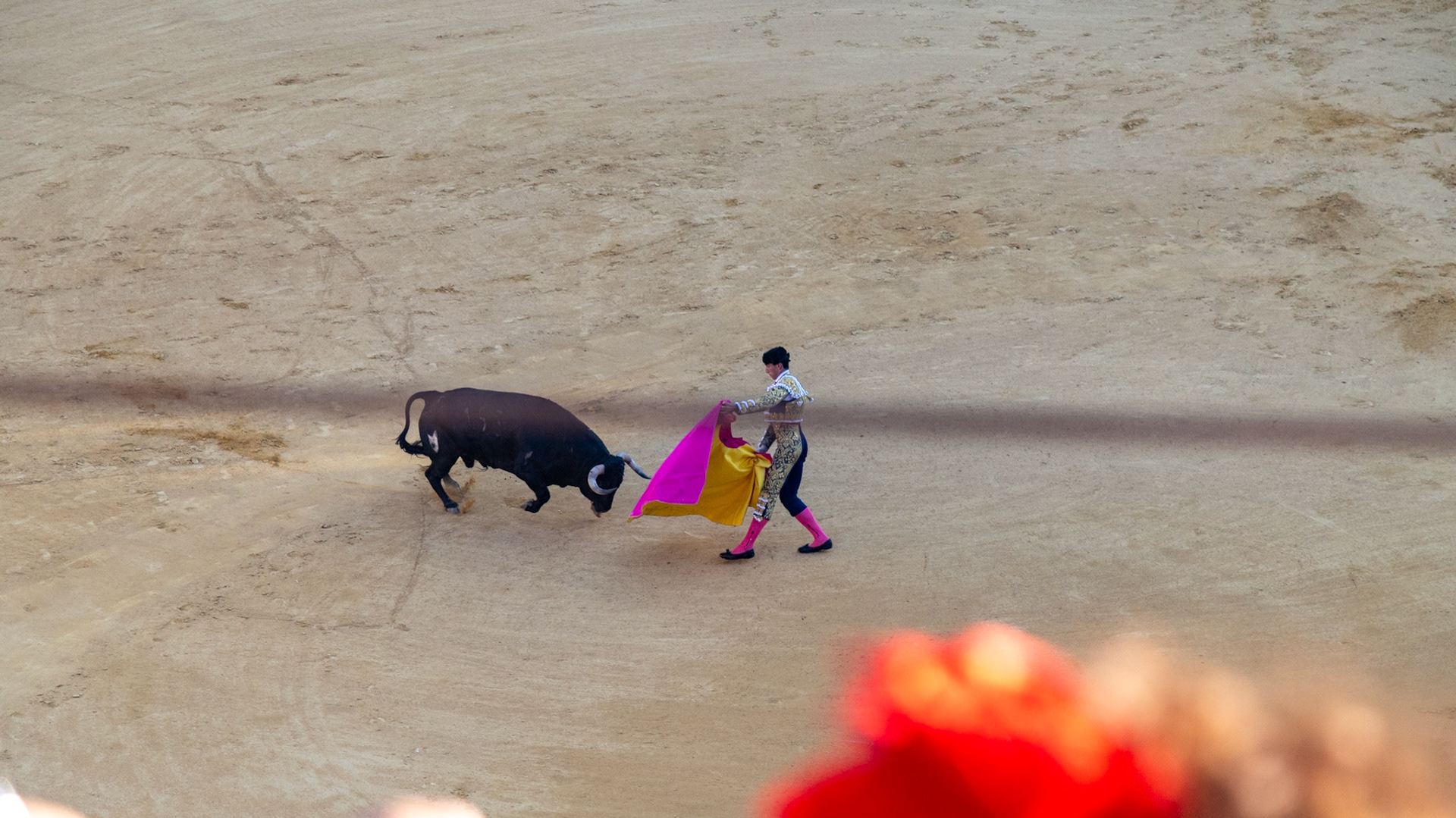 La Corrida de Málaga. Málaga, Spain. 2022.