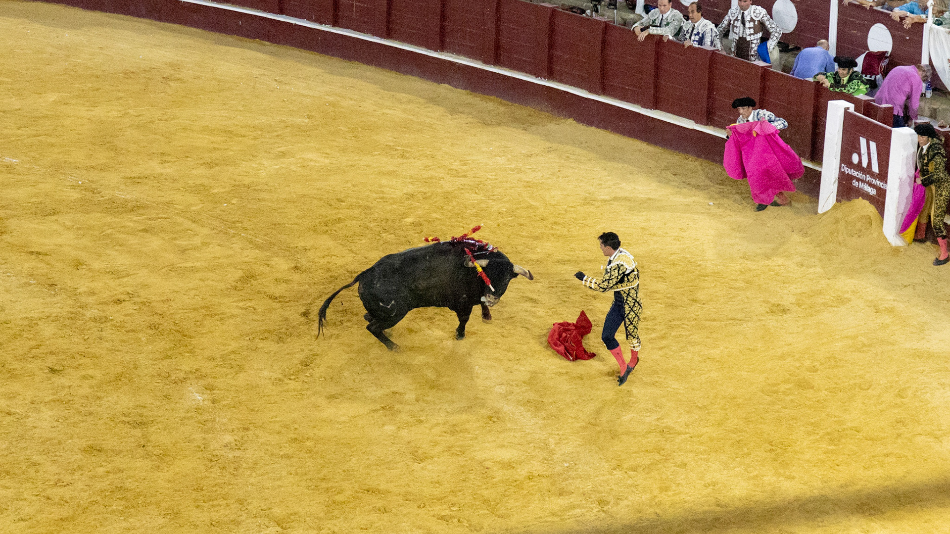 La Corrida de Málaga. Málaga, Spain. 2022.