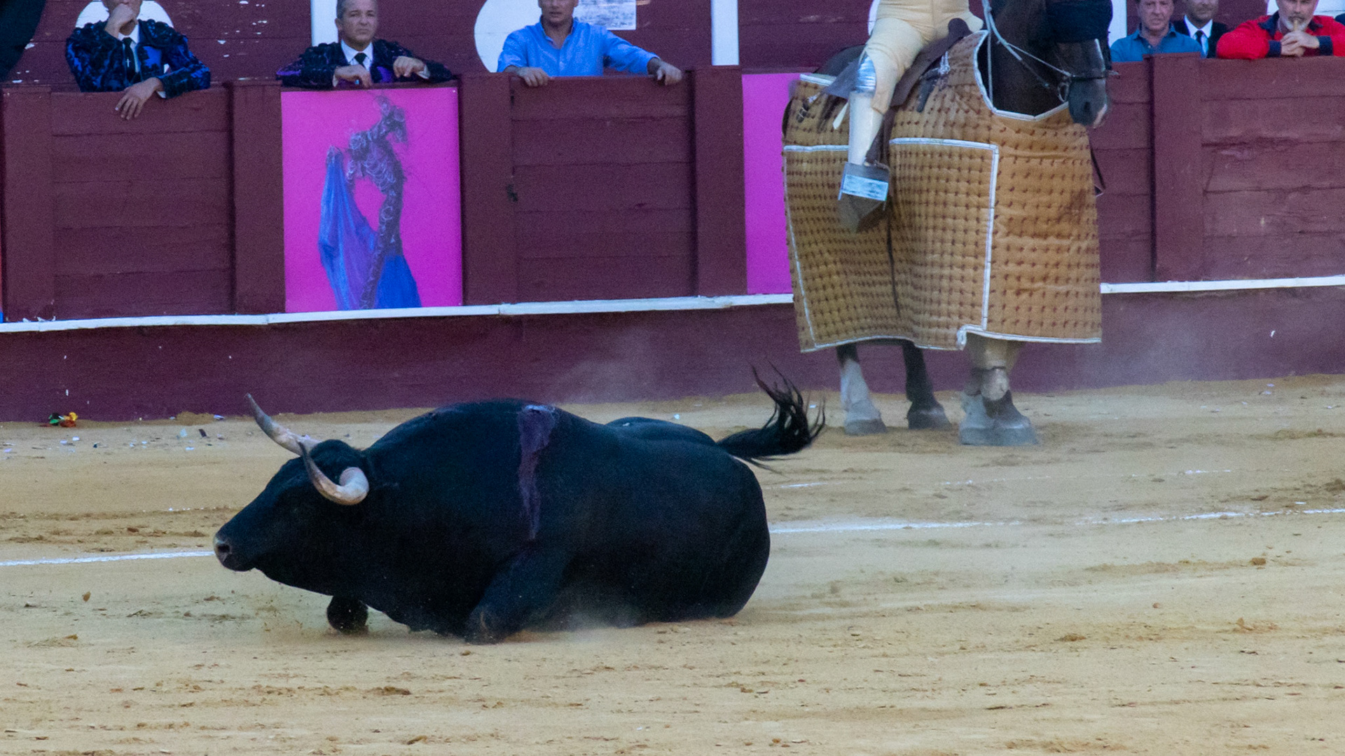 La Corrida Picassiana de Málaga. Málaga, Spain. 2022.