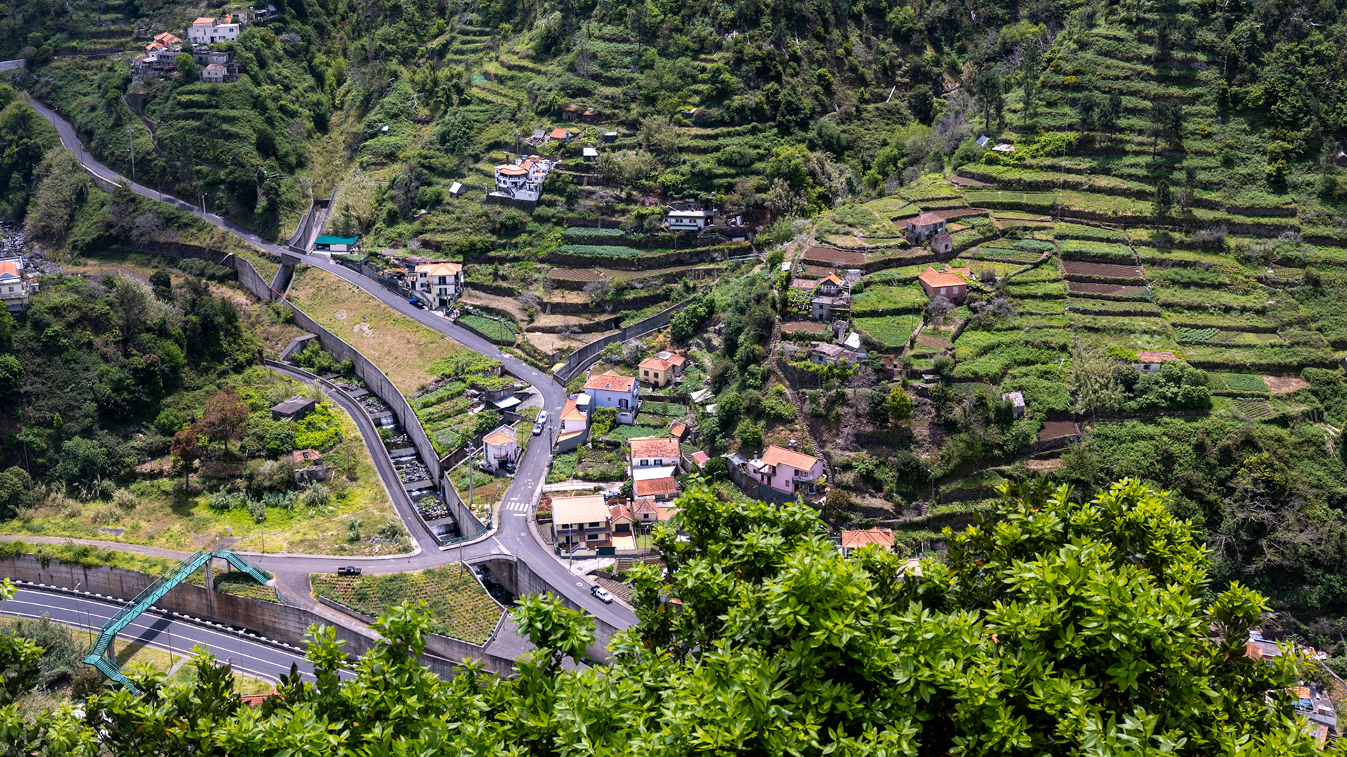 Serra de Água, Madeira, Portugal. 2024.