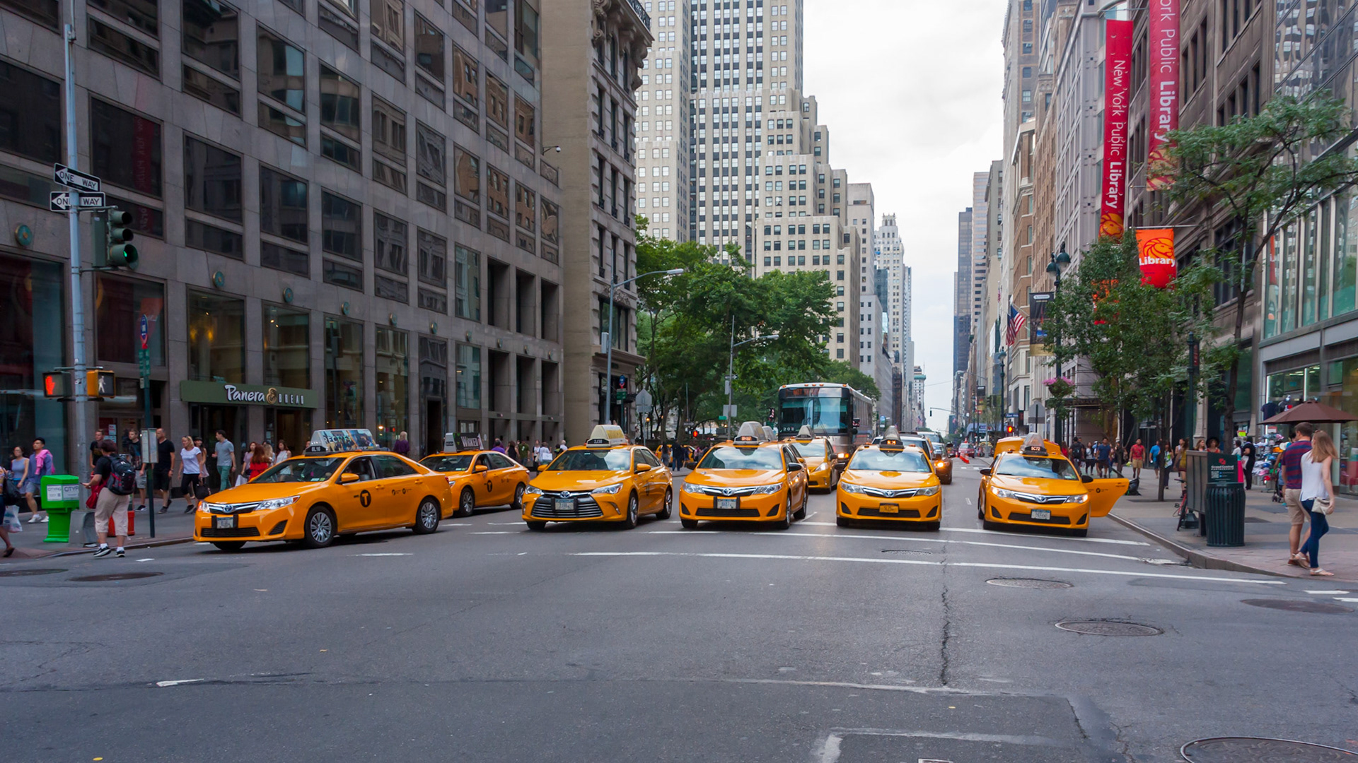 New York, USA. 2015.