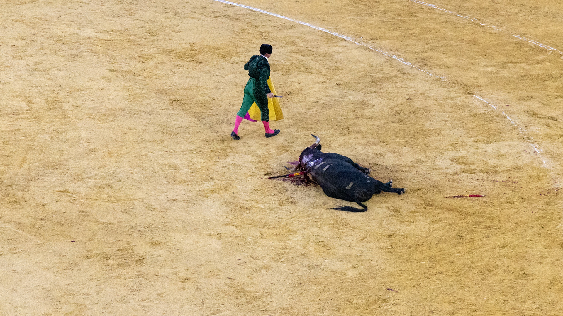 La Corrida de Málaga. Málaga, Spain. 2022.