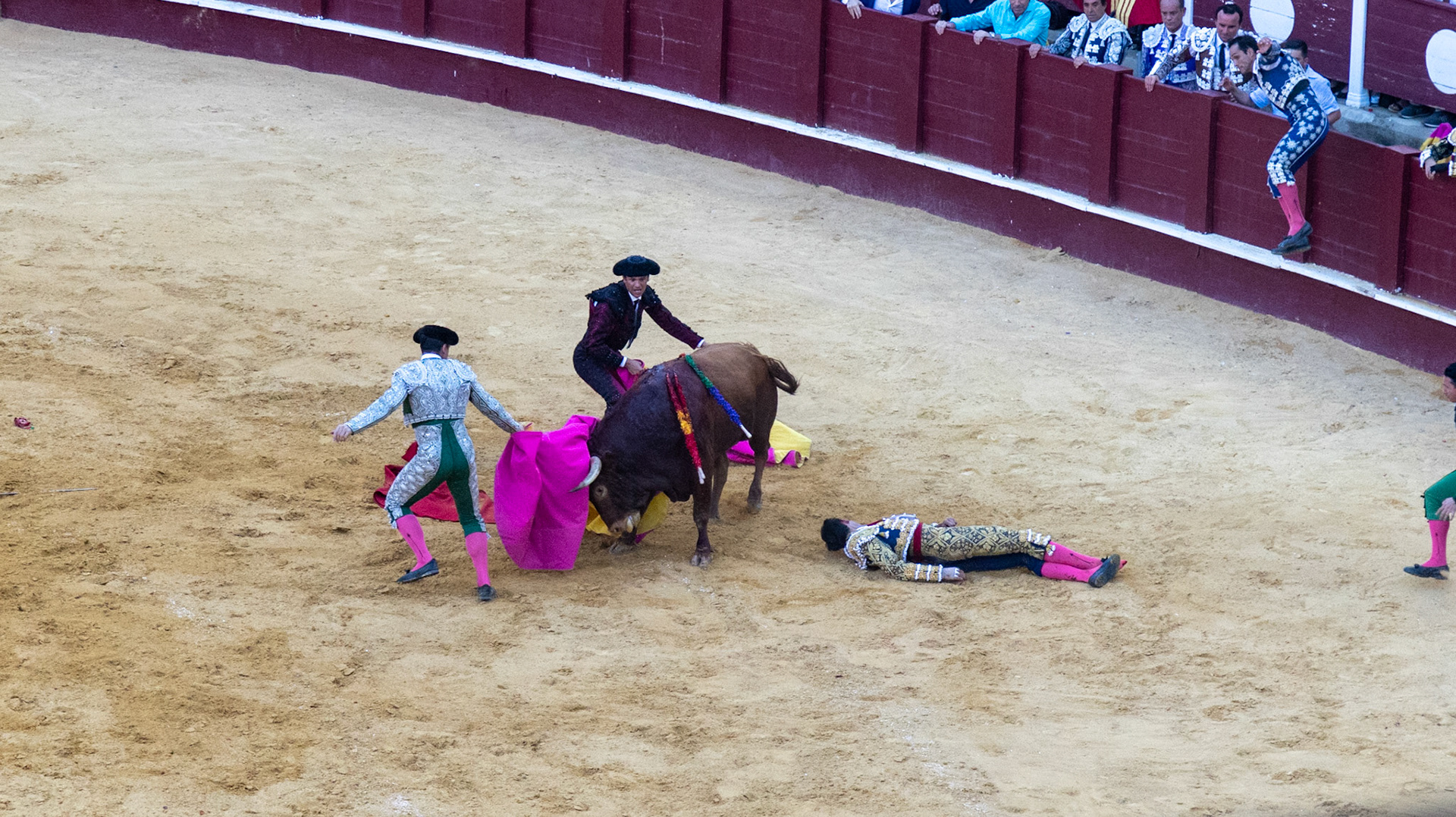 La Corrida de Málaga. Málaga, Spain. 2022.