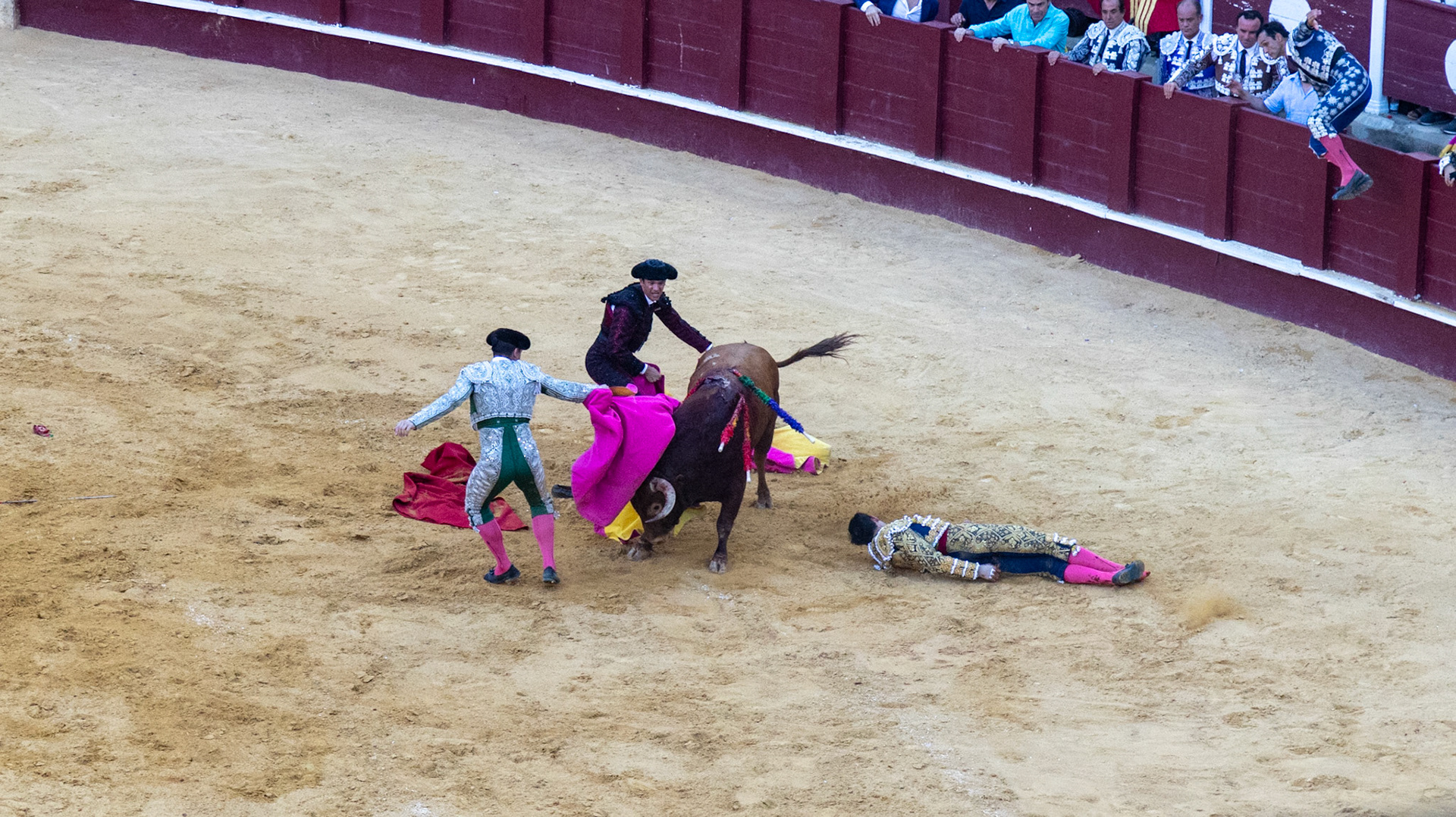 La Corrida de Málaga. Málaga, Spain. 2022.