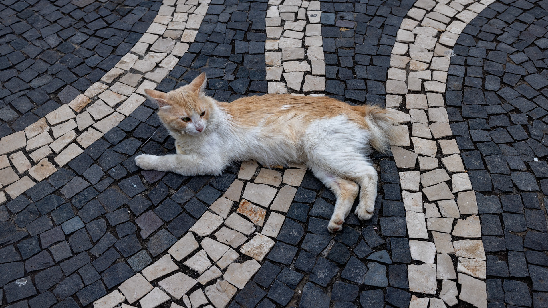 Paul do Mar, Madeira, Portugal. 2024.