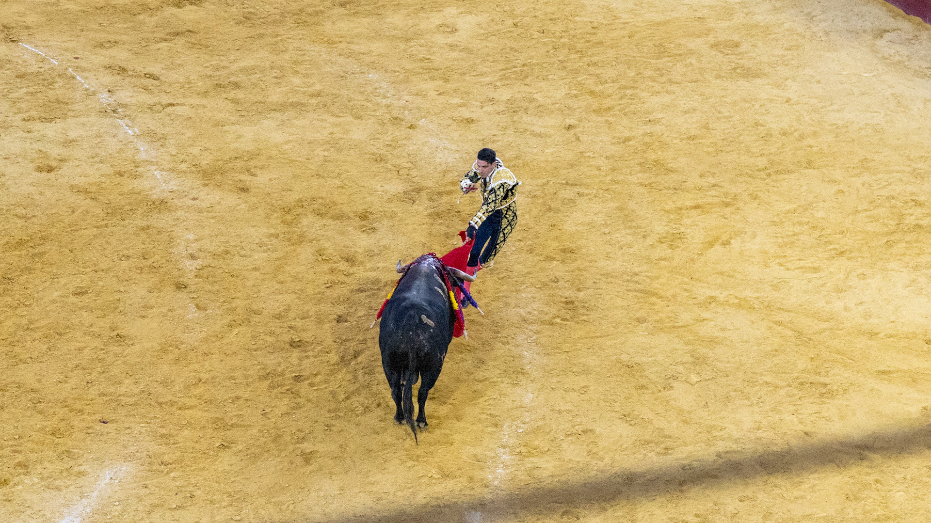 La Corrida de Málaga. Málaga, Spain. 2022.