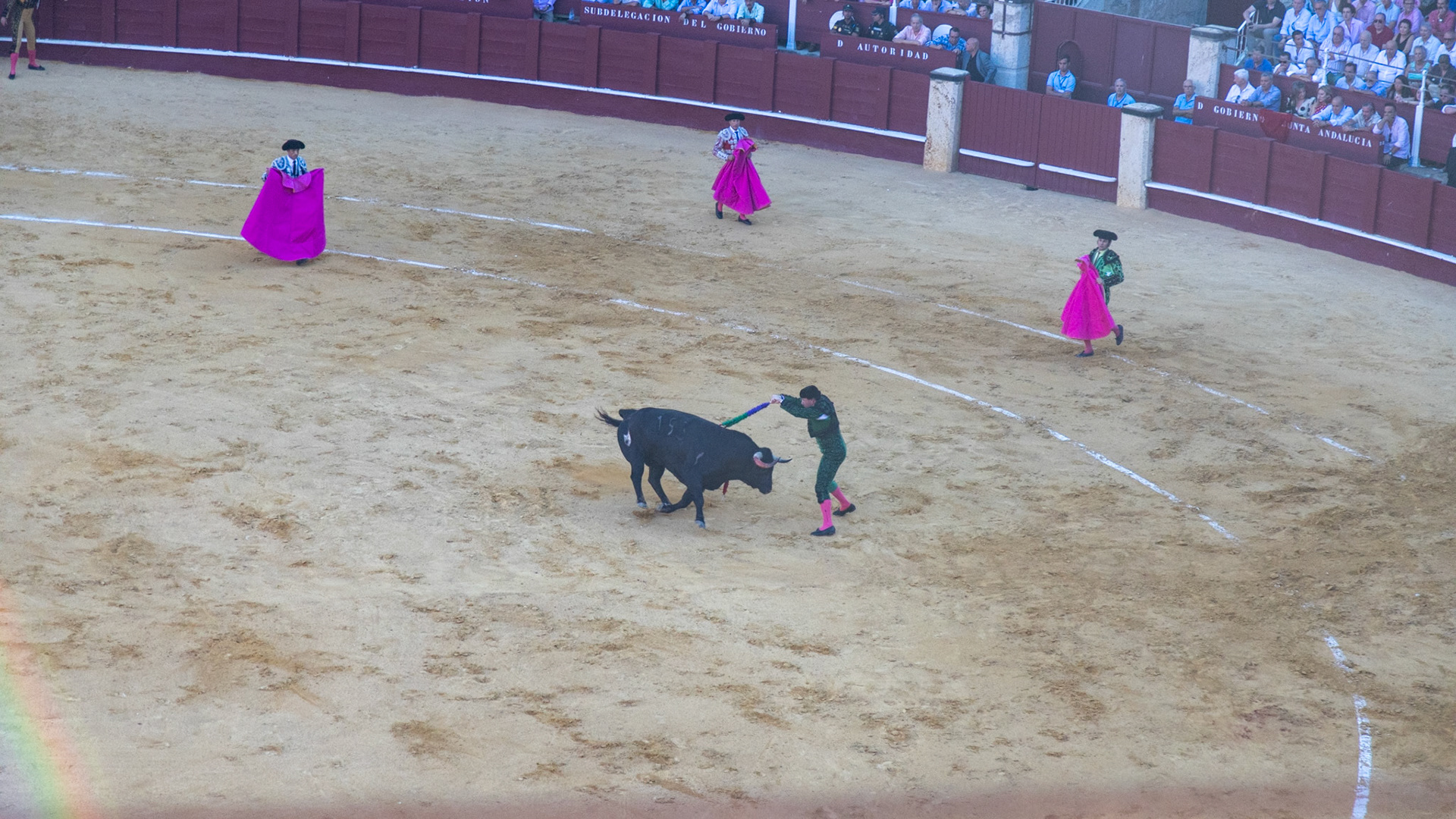 La Corrida de Málaga. Málaga, Spain. 2022.