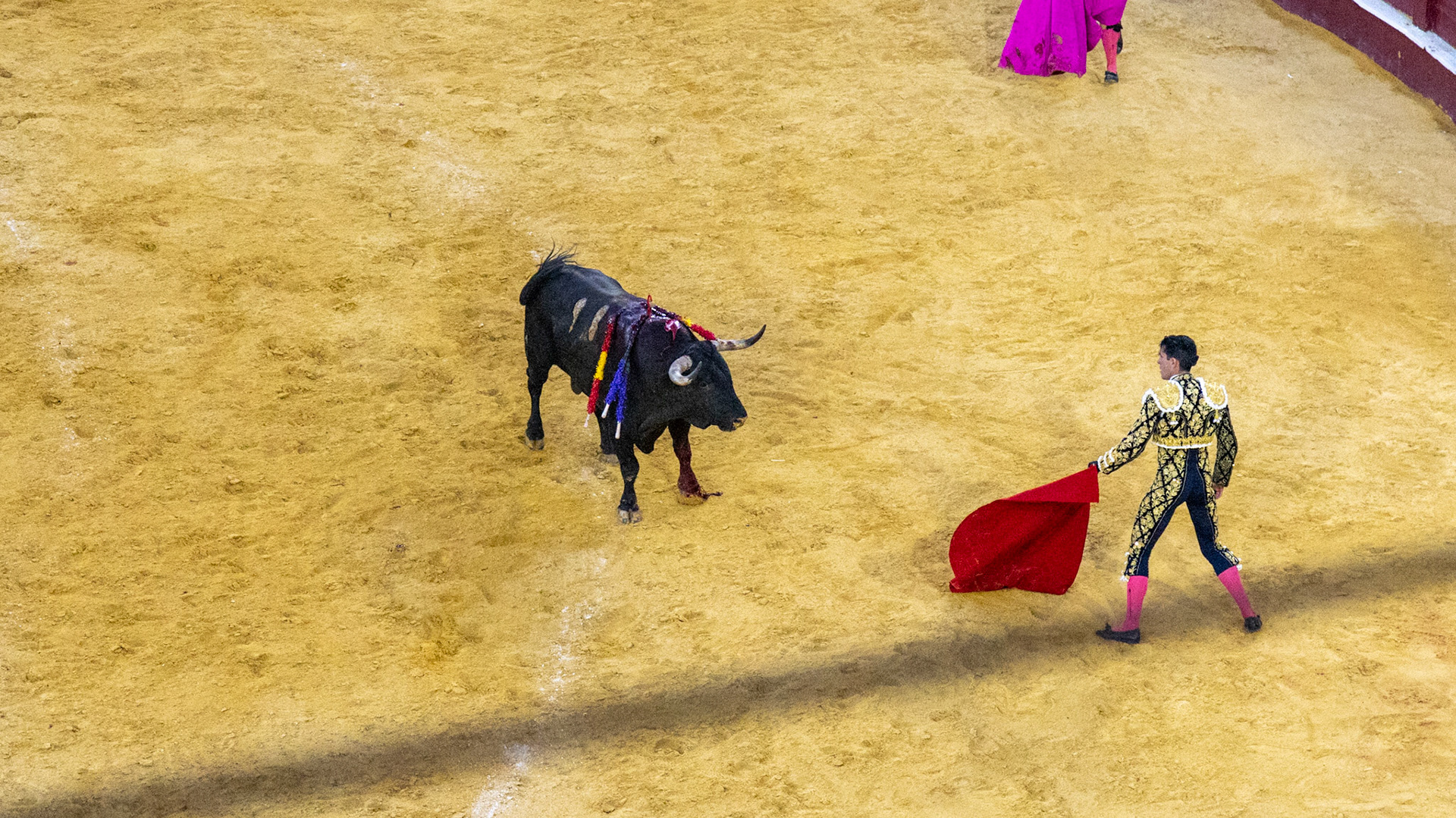 La Corrida de Málaga. Málaga, Spain. 2022.