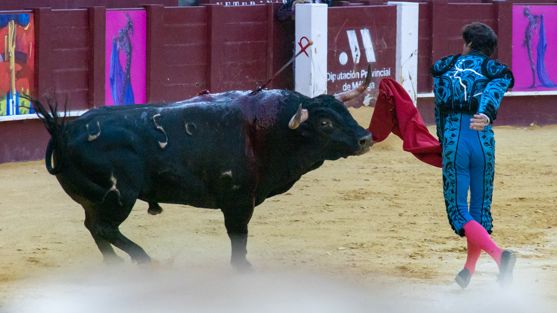 La Corrida Picassiana de Málaga. Málaga, Spain. 2022.