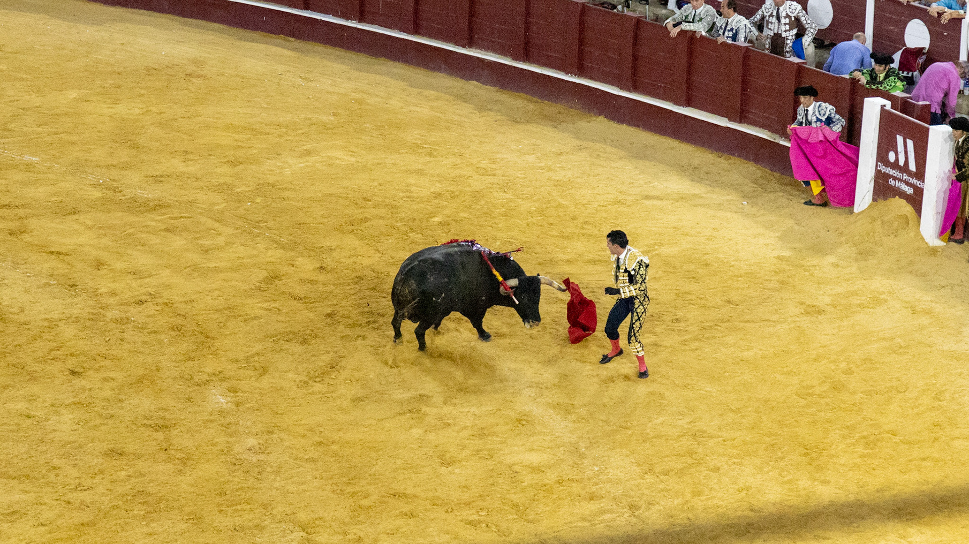 La Corrida de Málaga. Málaga, Spain. 2022.