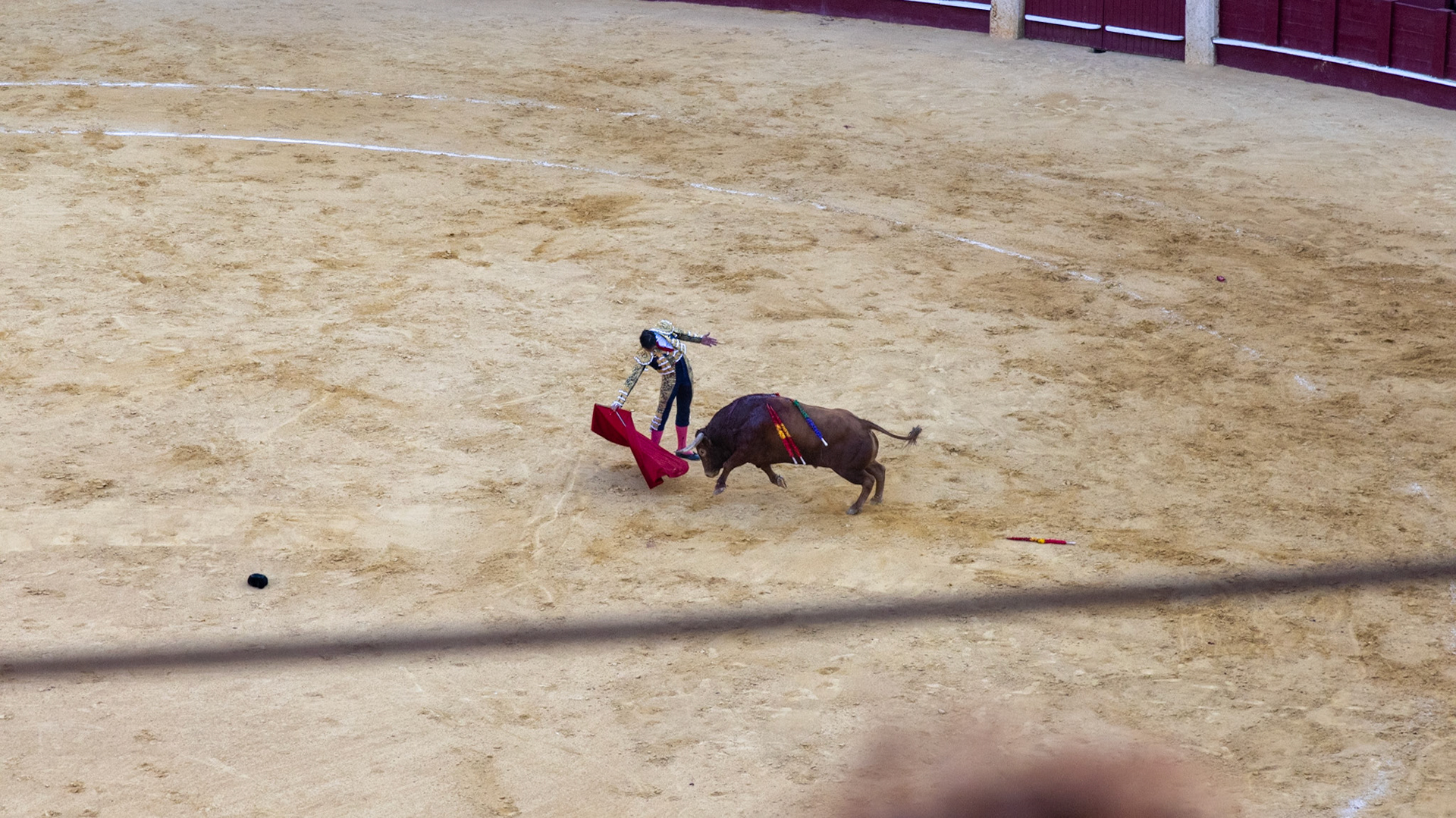 La Corrida de Málaga. Málaga, Spain. 2022.
