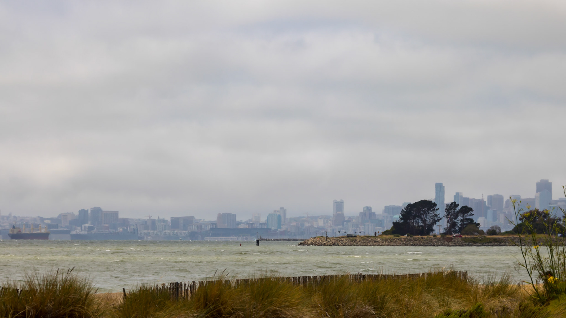 San Francisco. USA. 2015.
