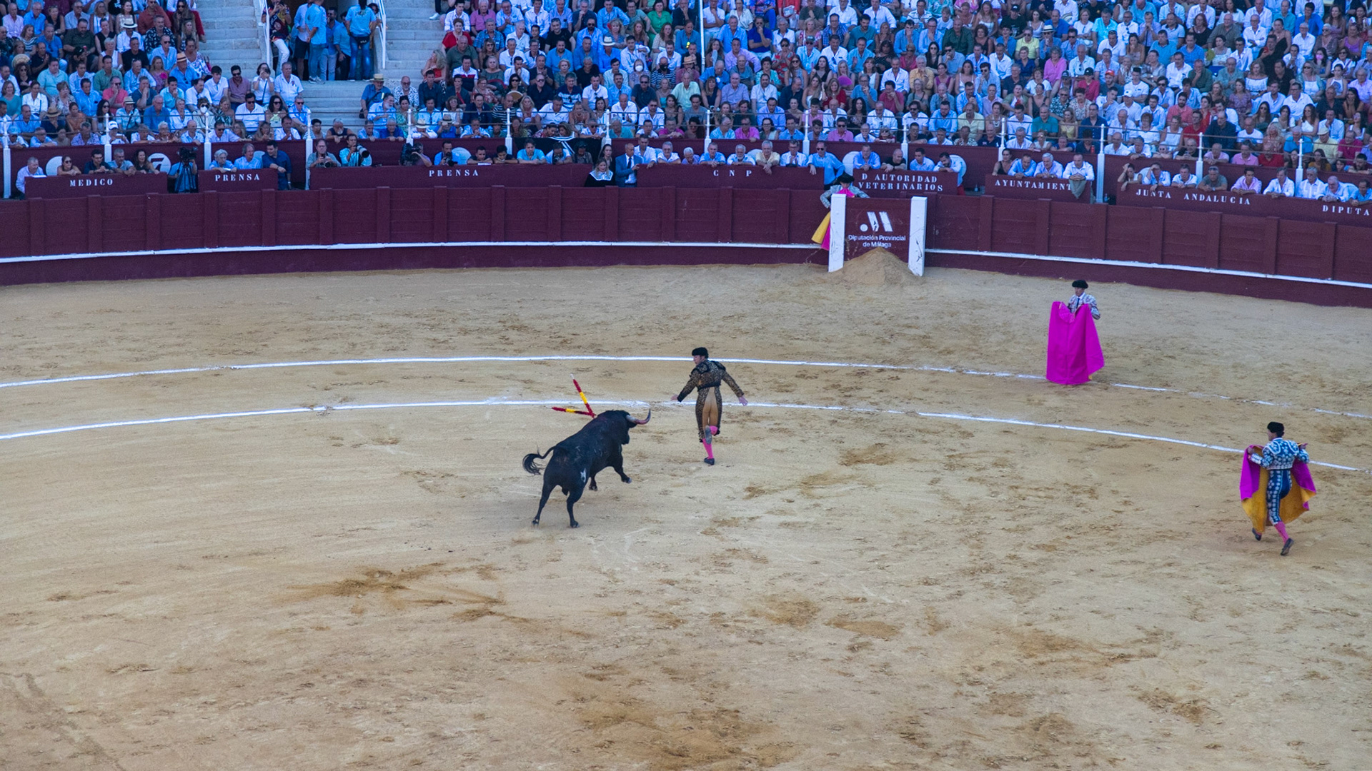 La Corrida de Málaga. Málaga, Spain. 2022.