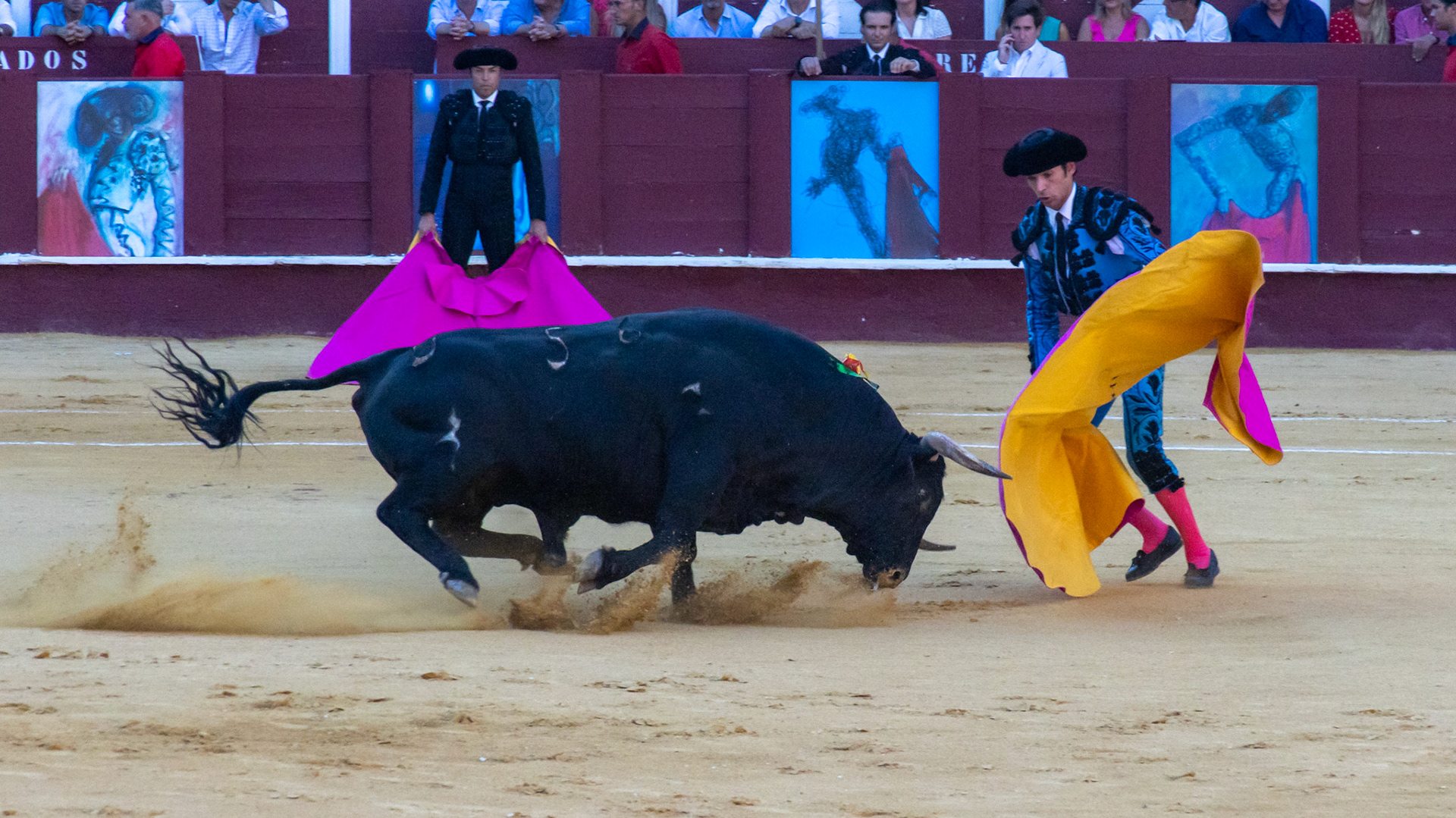 La Corrida Picassiana de Málaga. Málaga, Spain. 2022.