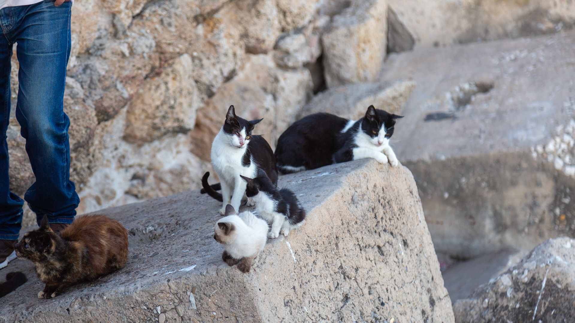 Cádiz, Spain. 2019.
