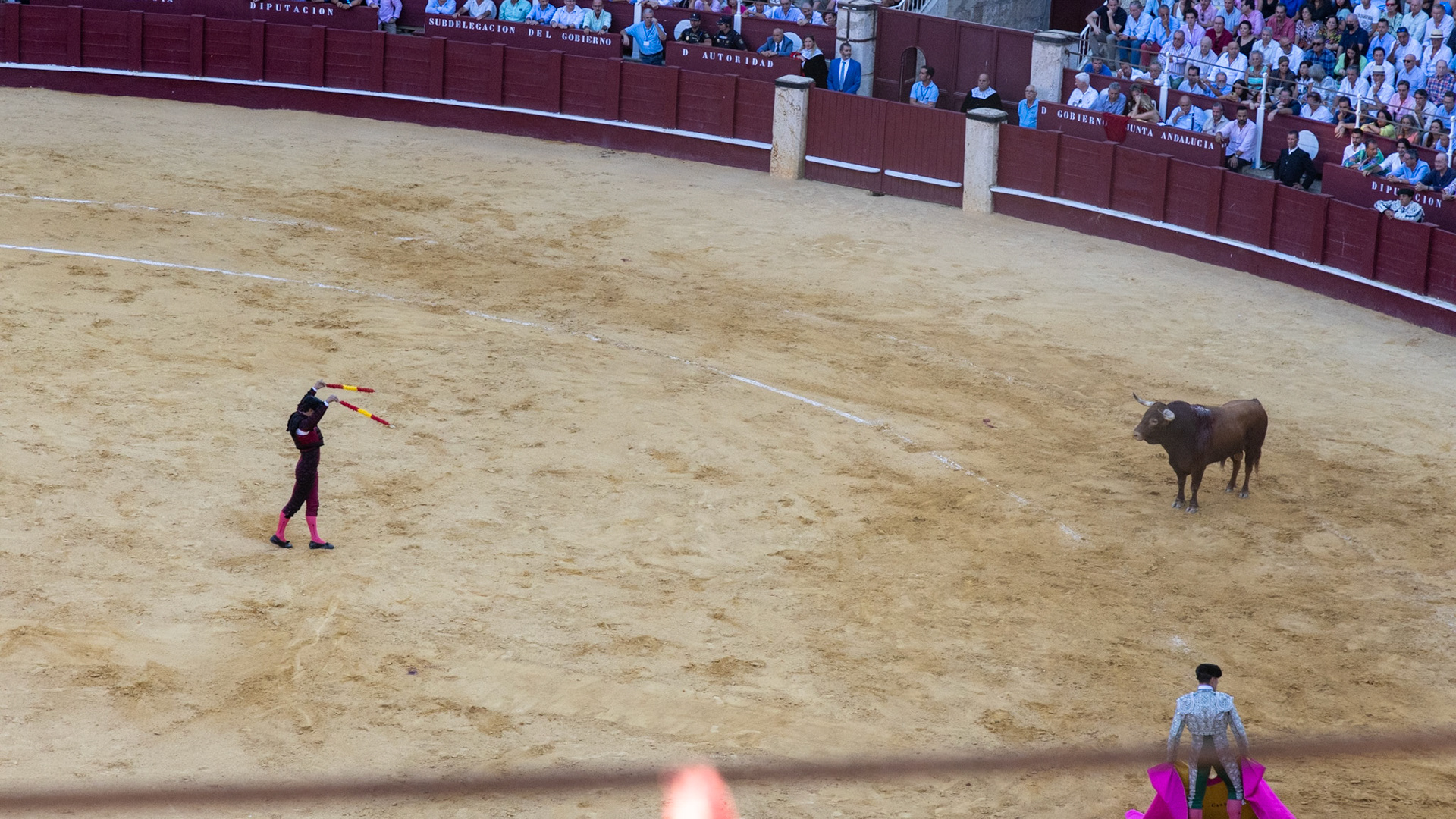 La Corrida de Málaga. Málaga, Spain. 2022.