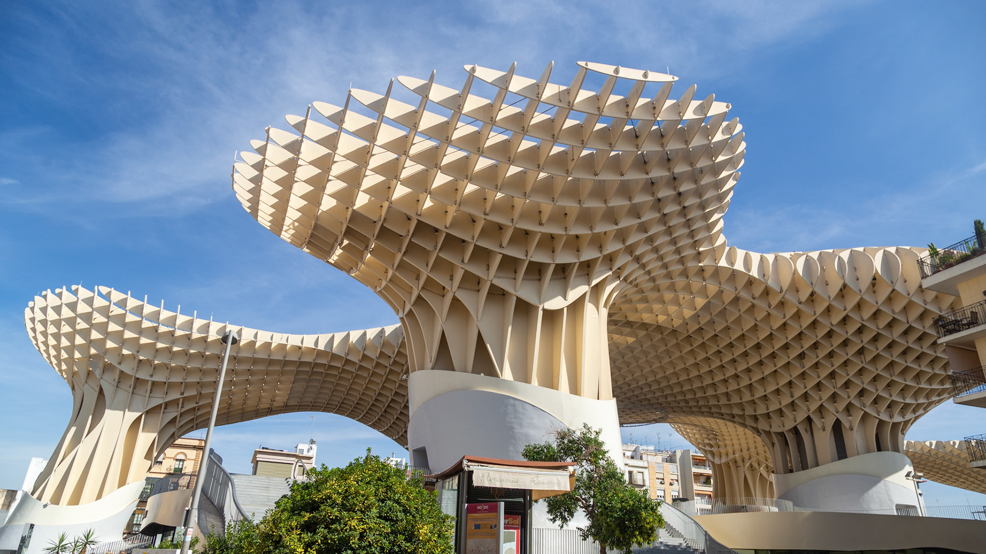 Setas de Sevilla. Sevilla, Spain. 2019.