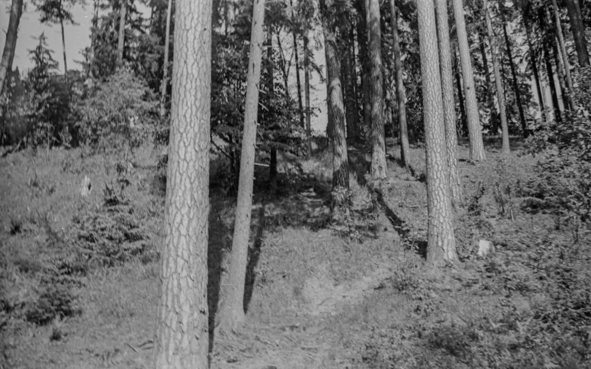 maj 1966 Suwałki