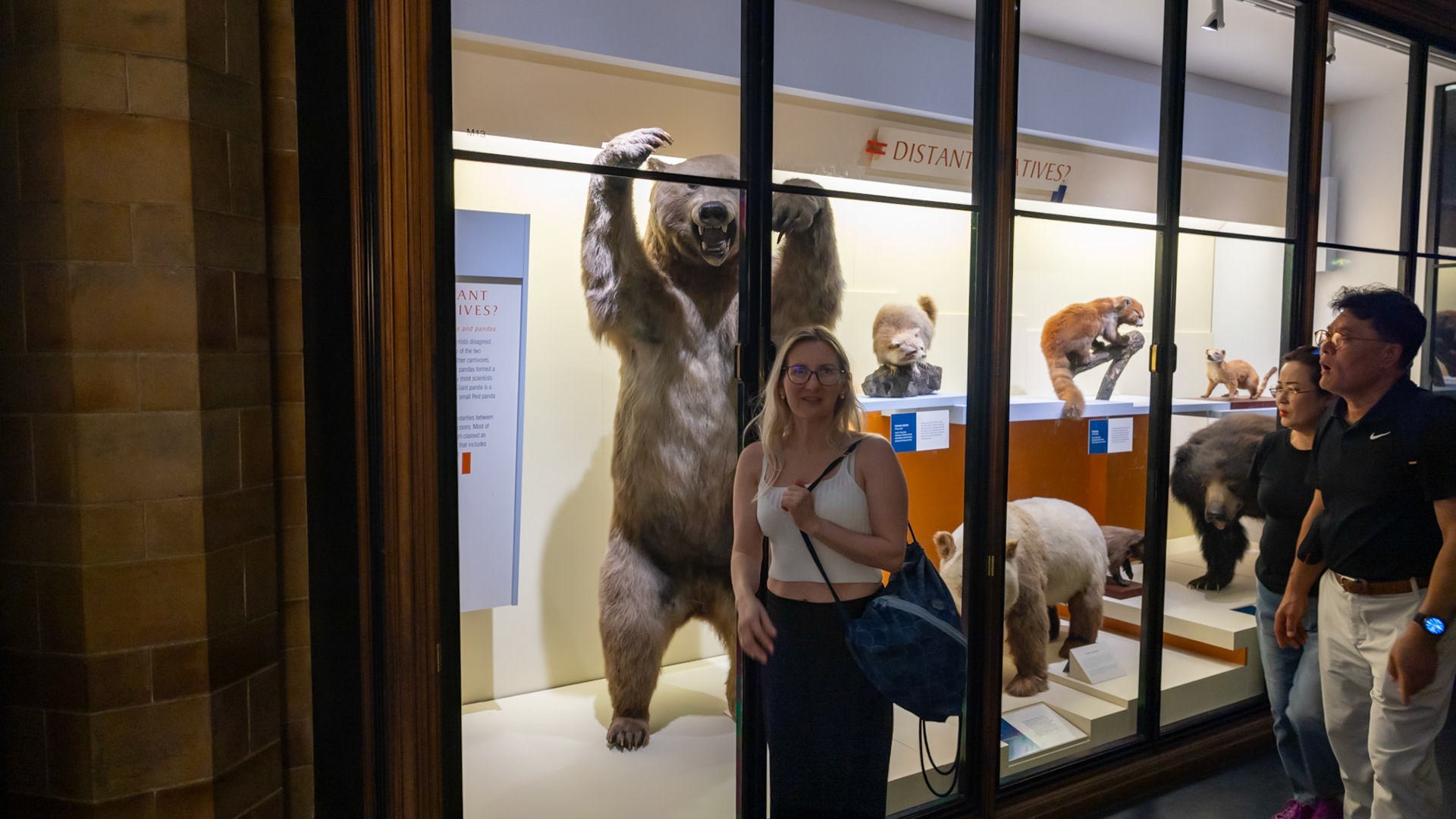 Natural History Museum. London, England. 2023.