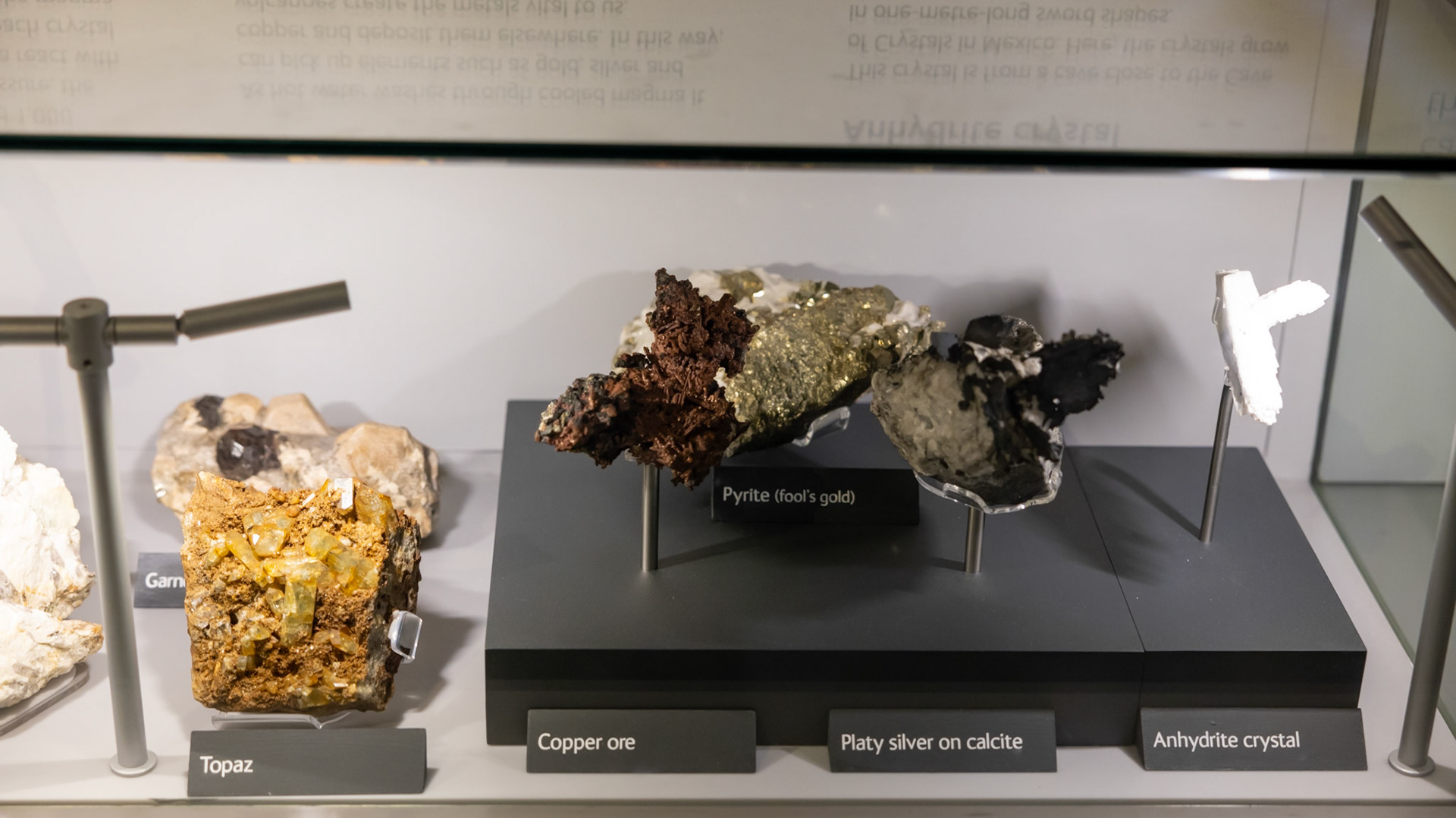 Natural History Museum. London, England. 2023.