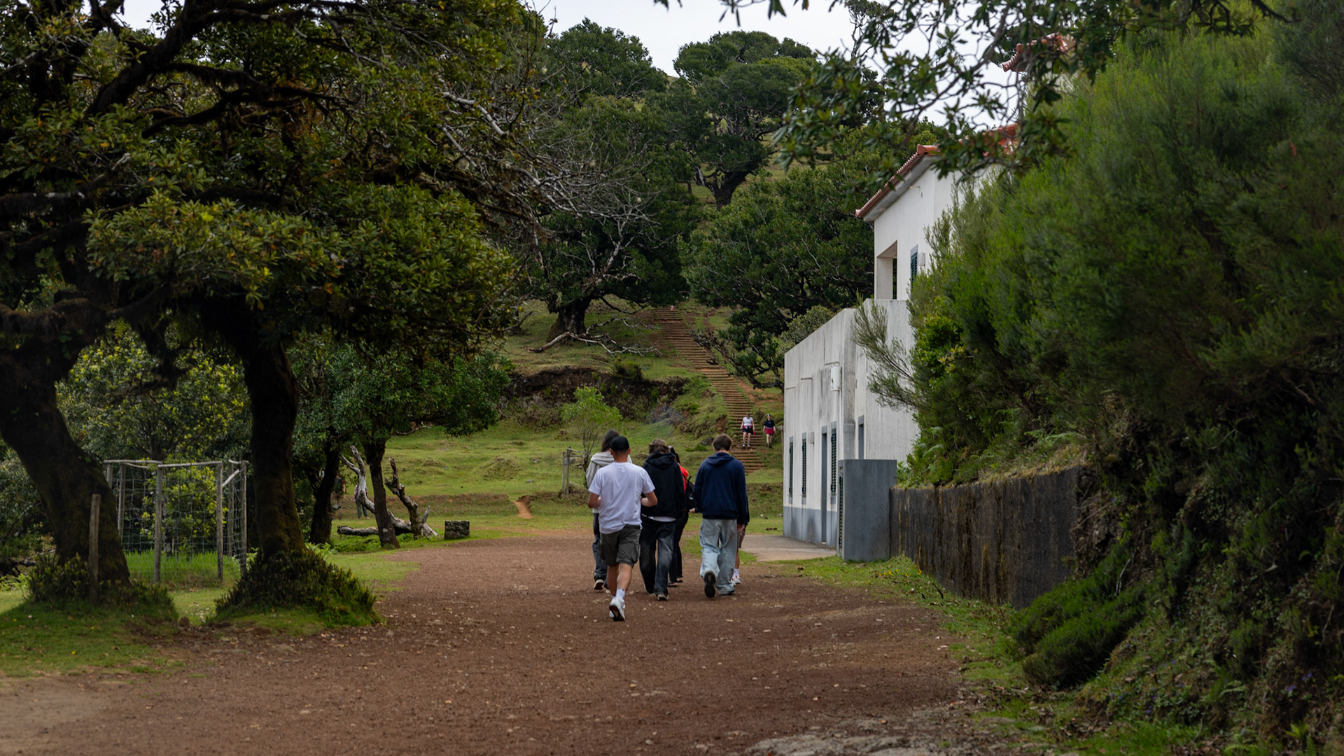 Parque Florestal do Fanal. Madeira, Portugal. 2024.