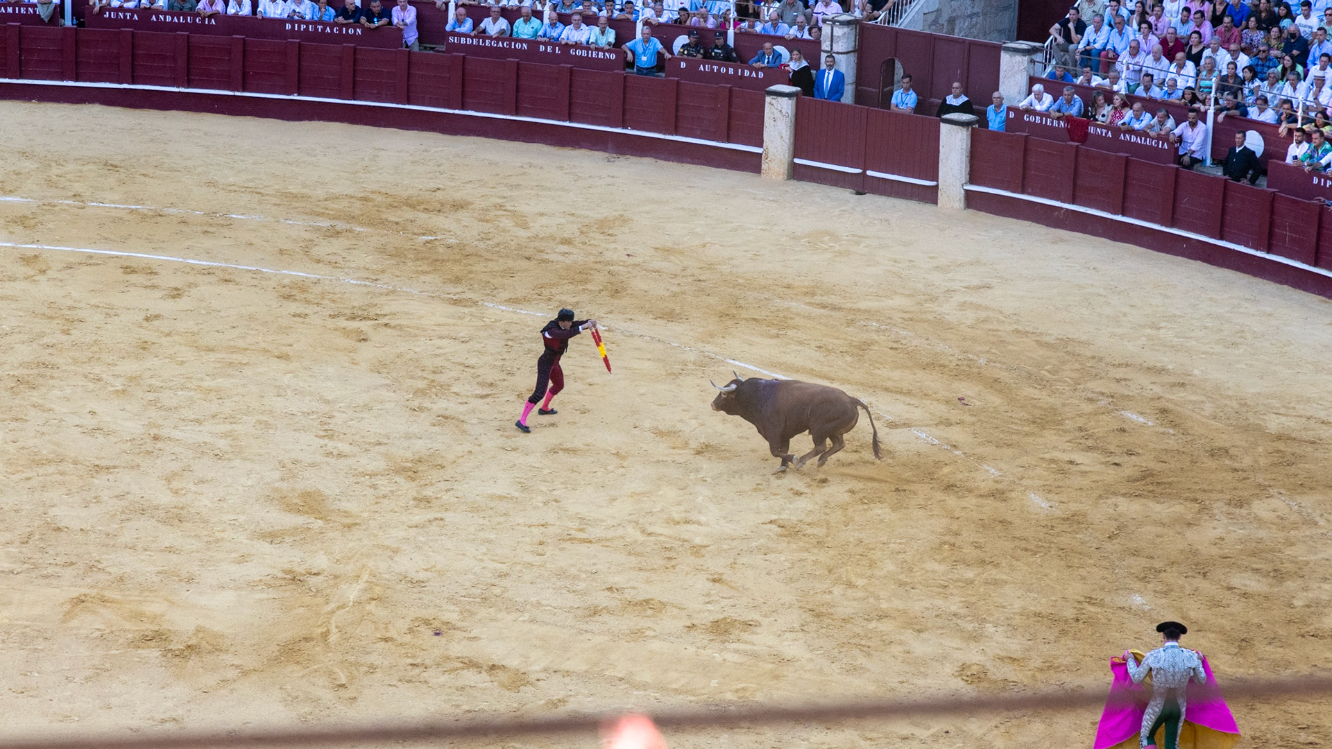La Corrida de Málaga. Málaga, Spain. 2022.