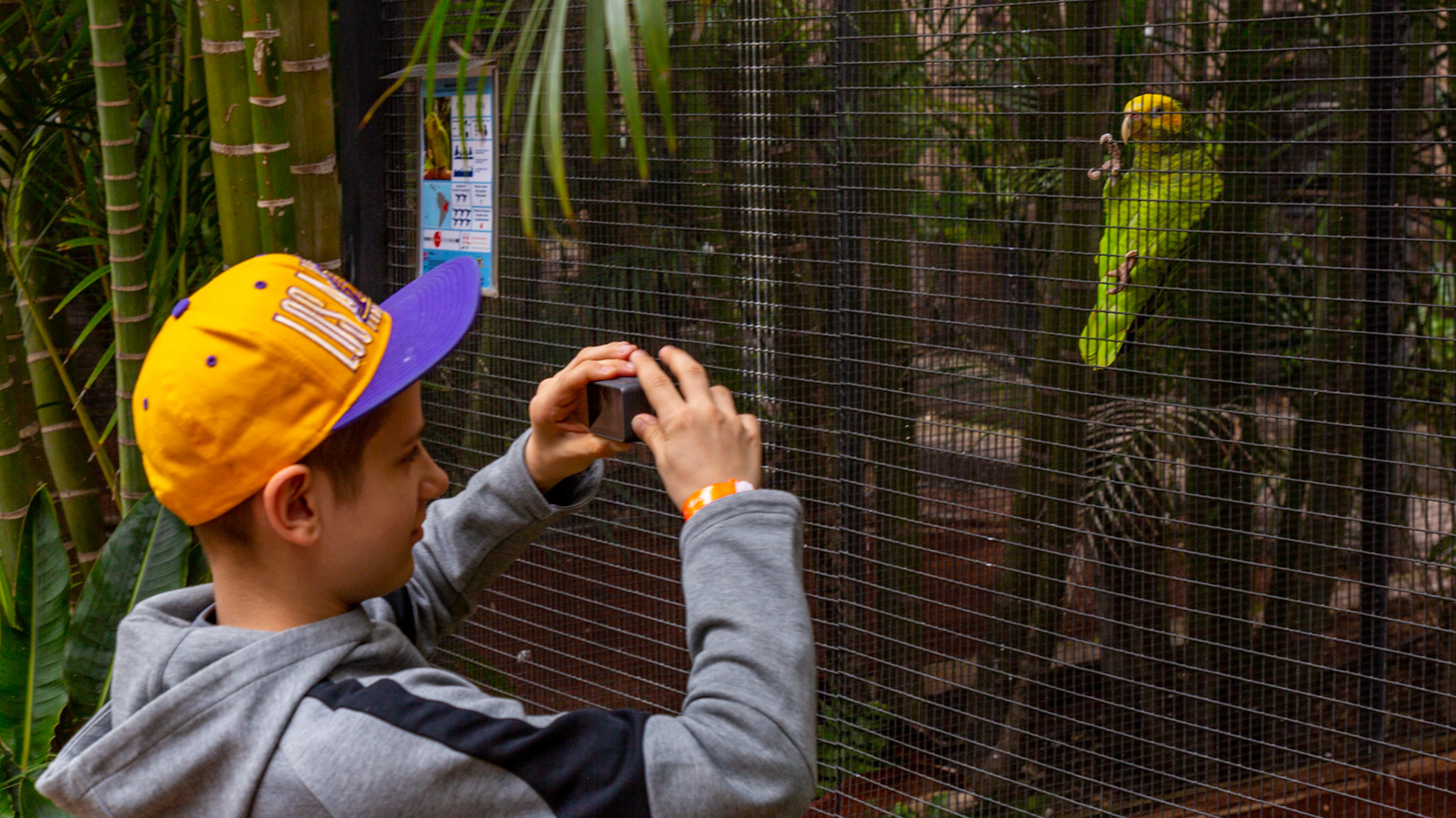 Loro Parque. Puerto de la Cruz, Tenerife, Spain. 2018.