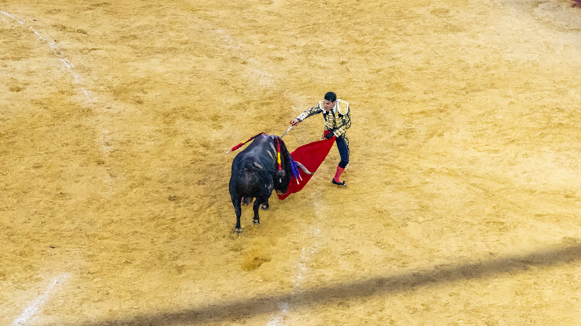 La Corrida de Málaga. Málaga, Spain. 2022.