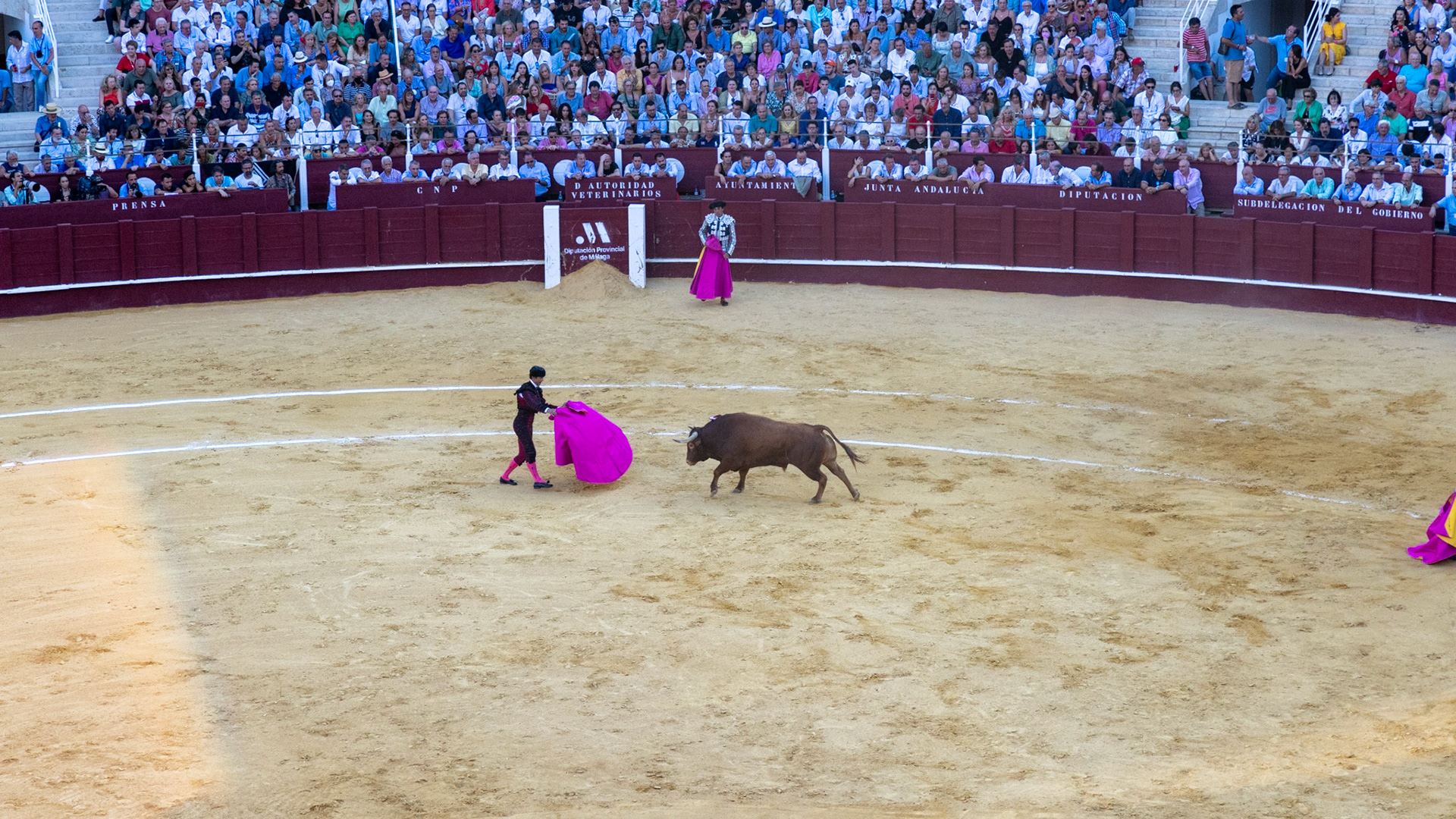 La Corrida de Málaga. Málaga, Spain. 2022.