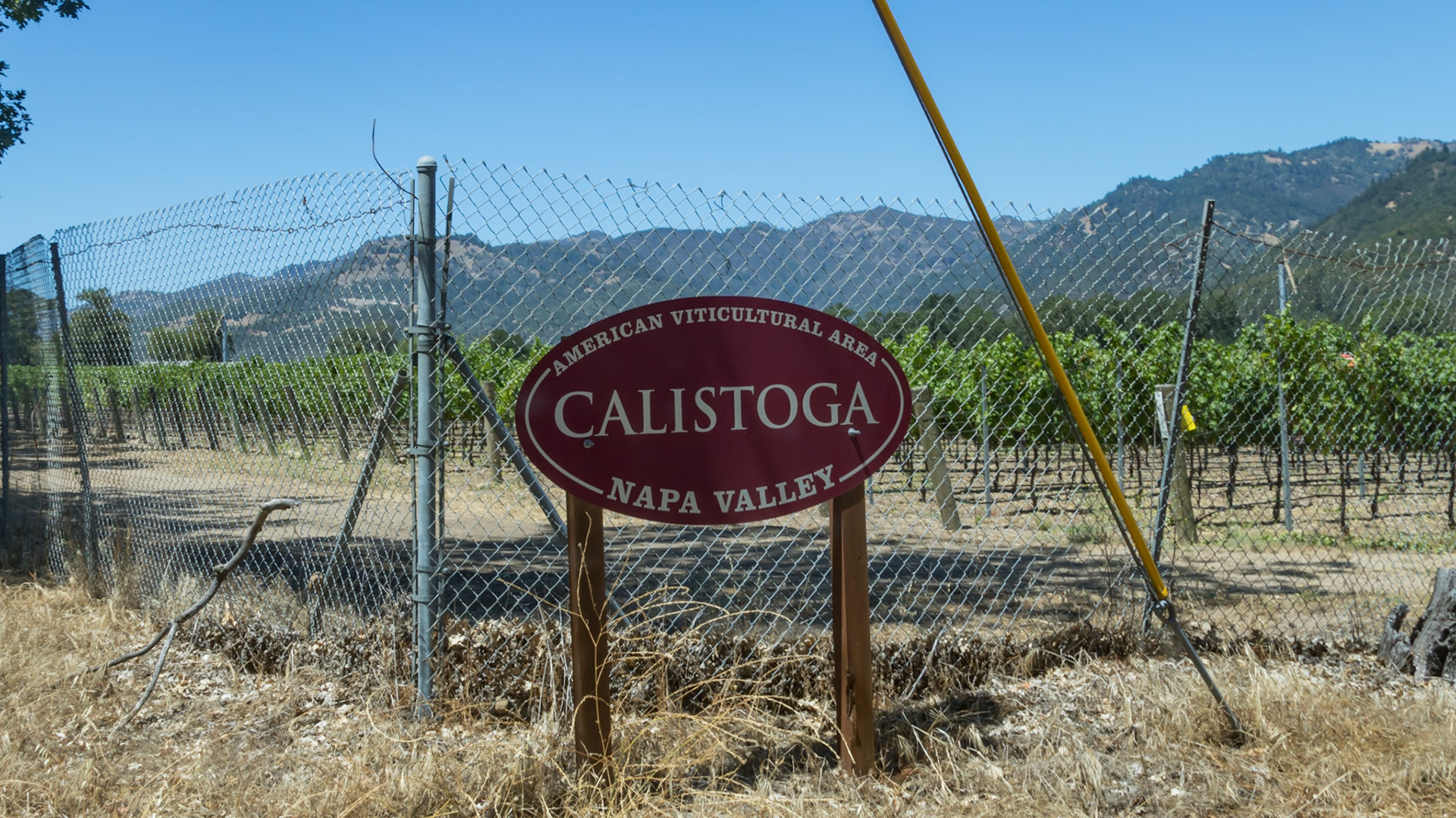 Napa Valley. USA. 2015.