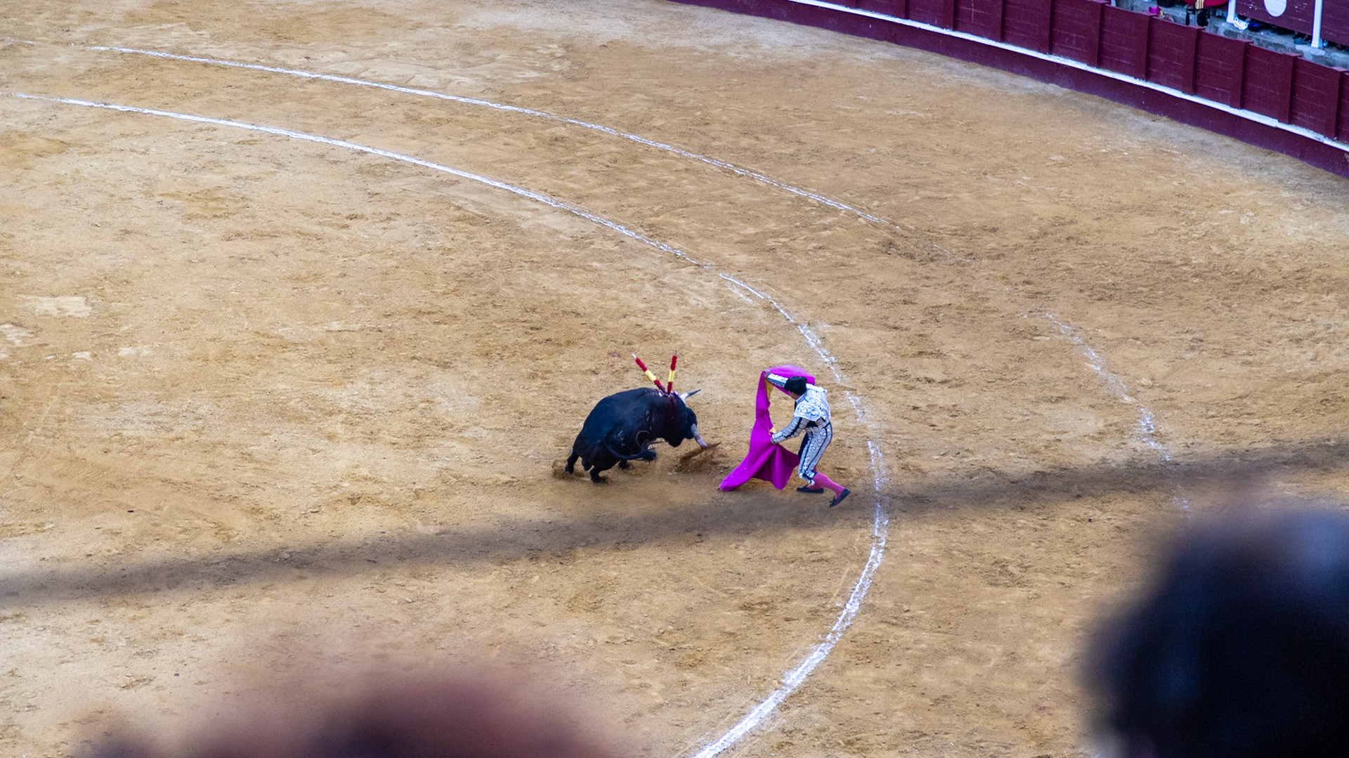 La Corrida de Málaga. Málaga, Spain. 2022.