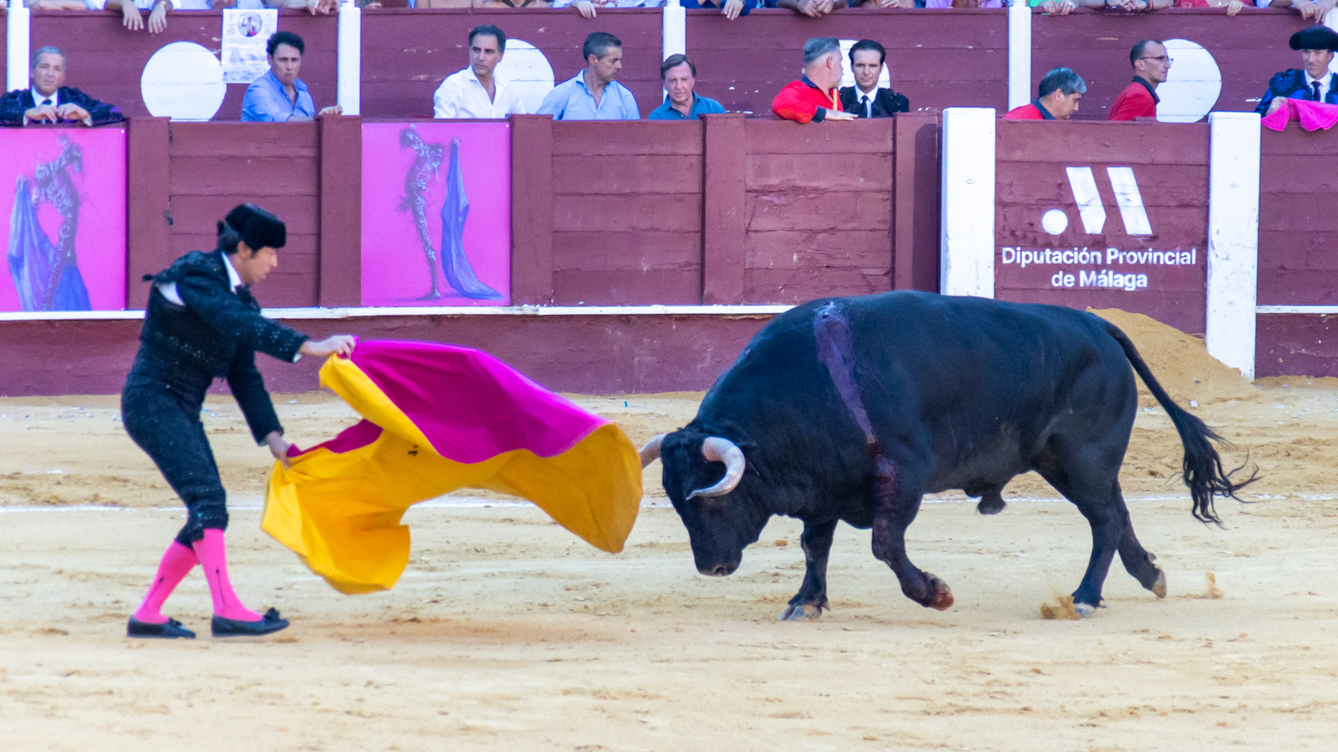 La Corrida Picassiana de Málaga. Málaga, Spain. 2022.
