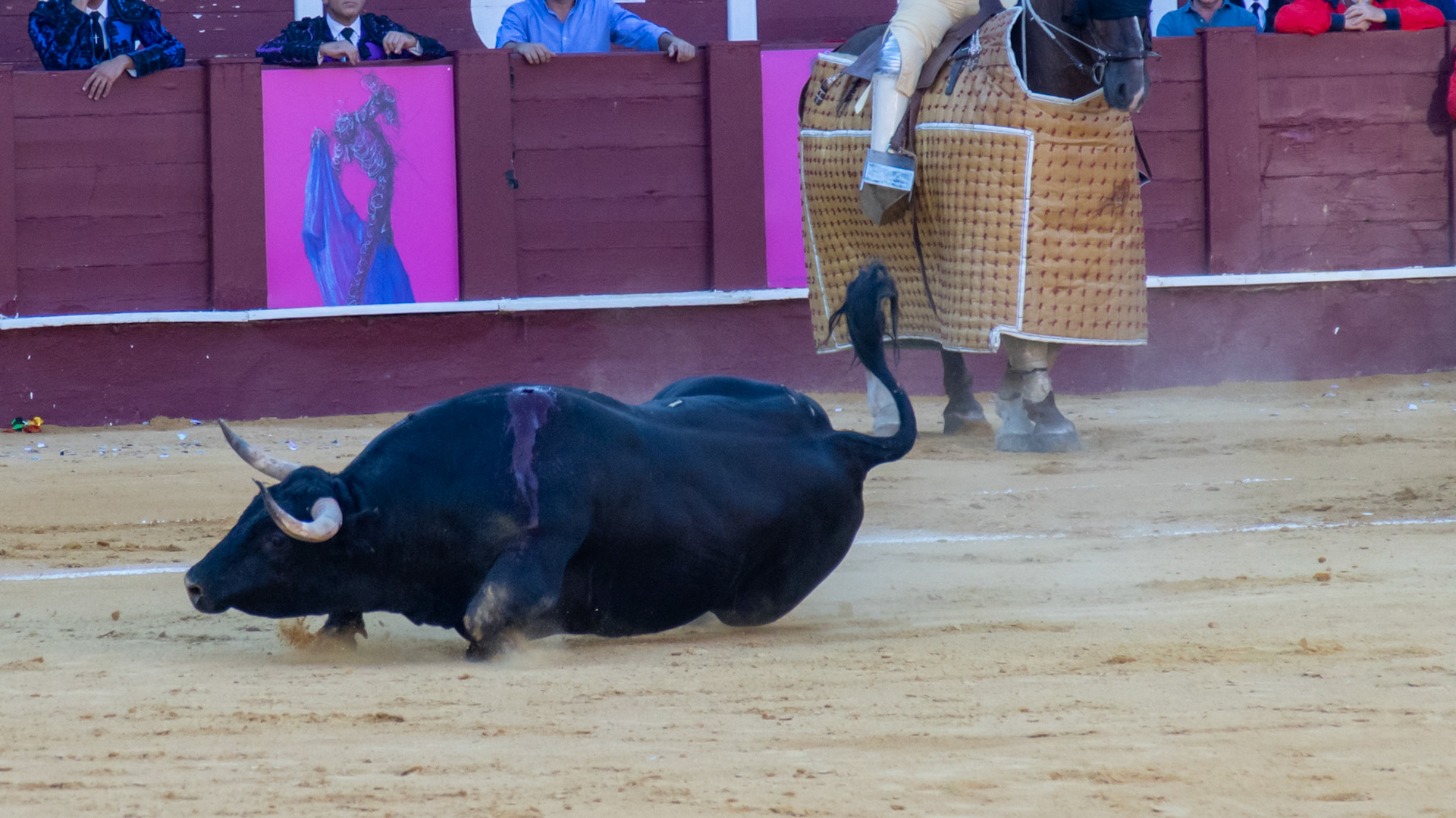 La Corrida Picassiana de Málaga. Málaga, Spain. 2022.