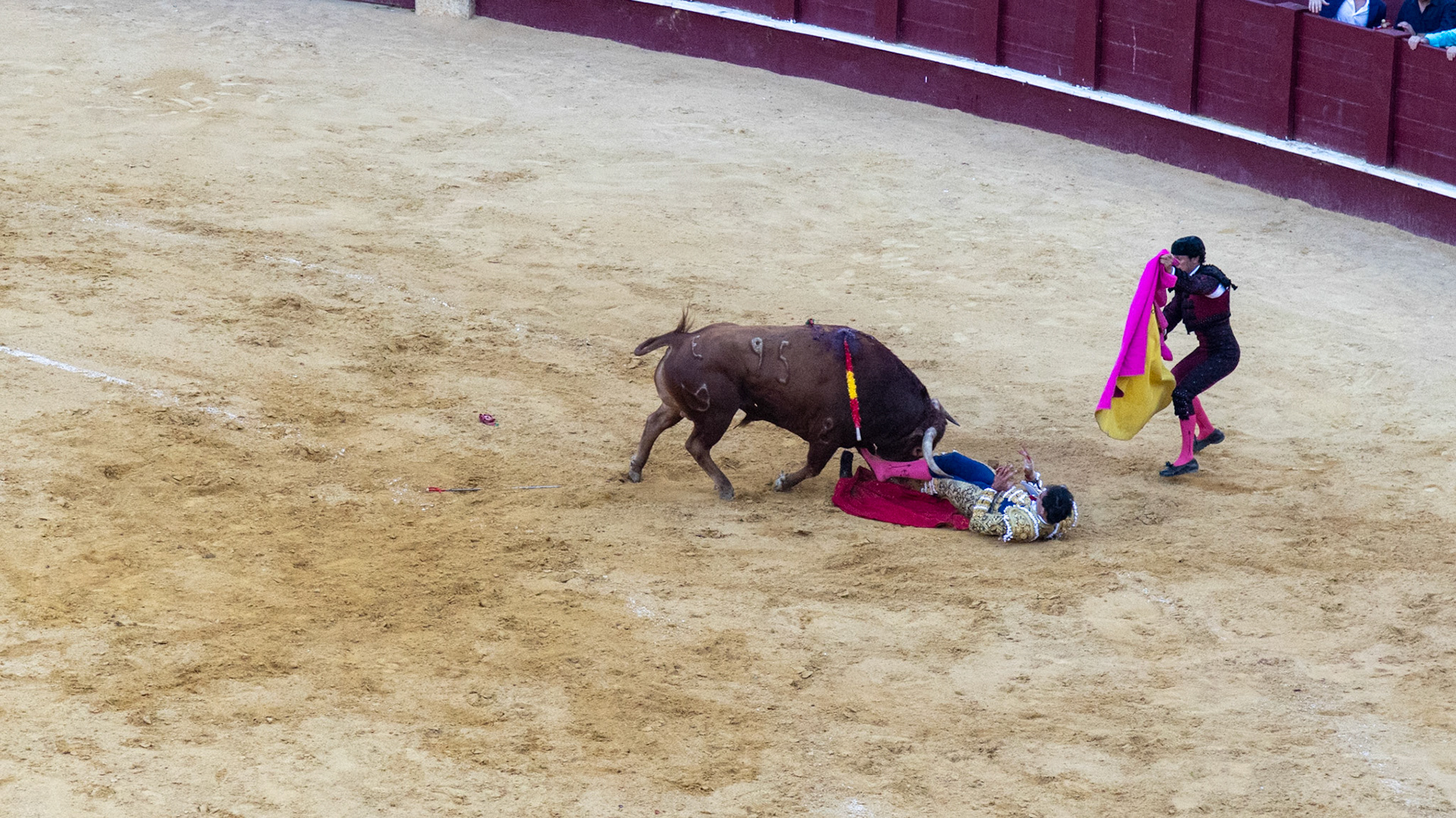 La Corrida de Málaga. Málaga, Spain. 2022.