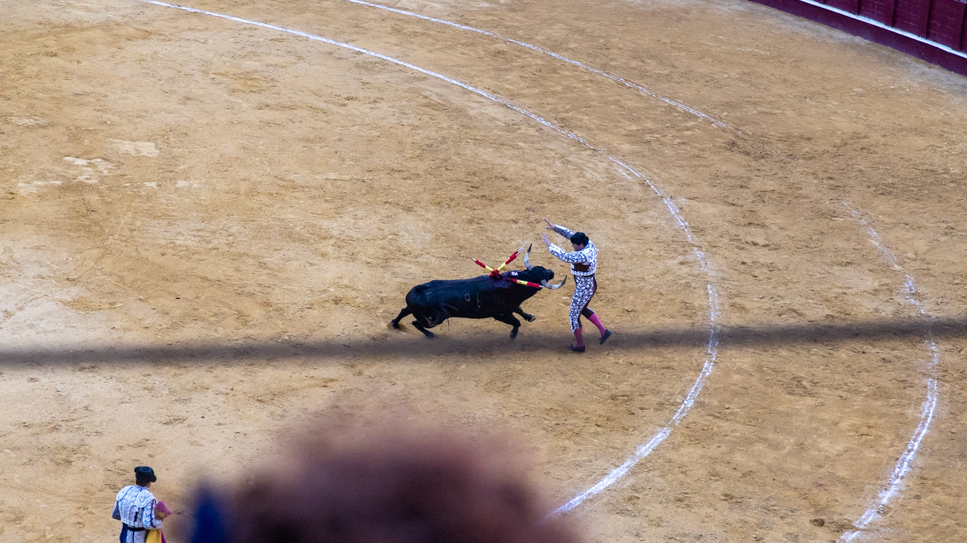 La Corrida de Málaga. Málaga, Spain. 2022.