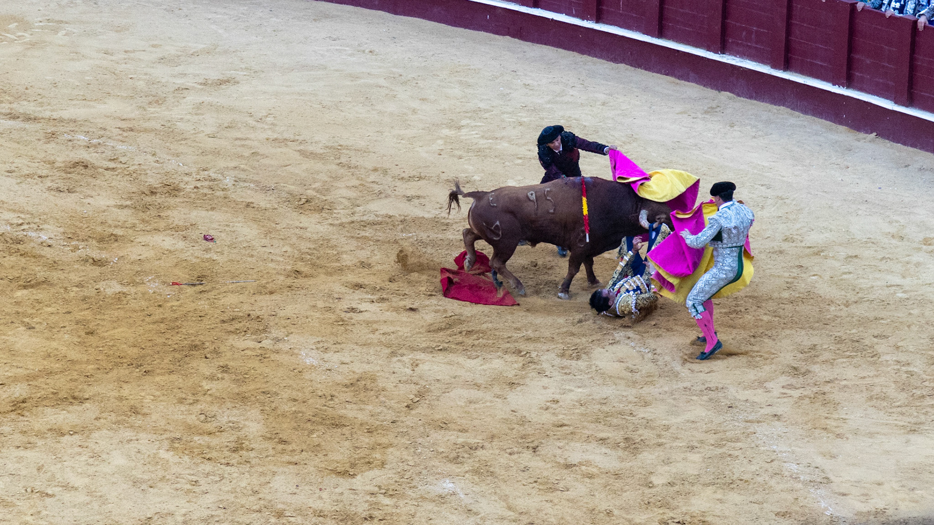 La Corrida de Málaga. Málaga, Spain. 2022.