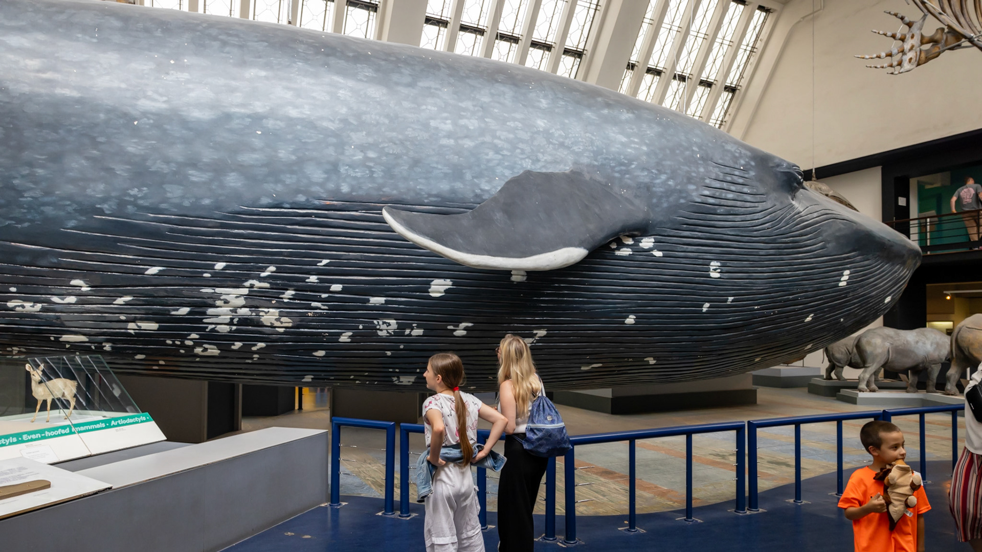Natural History Museum. London, England. 2023.