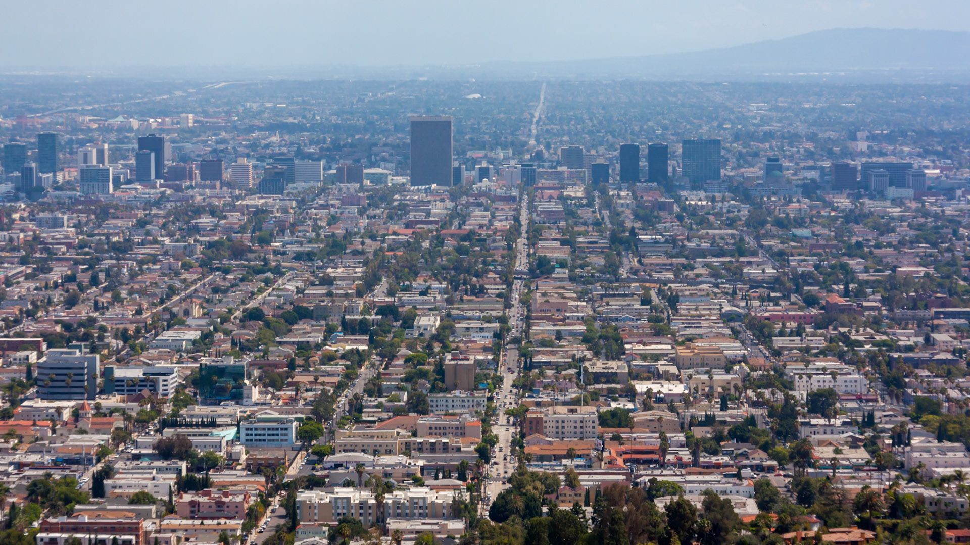 Los Angeles, USA. 2015.